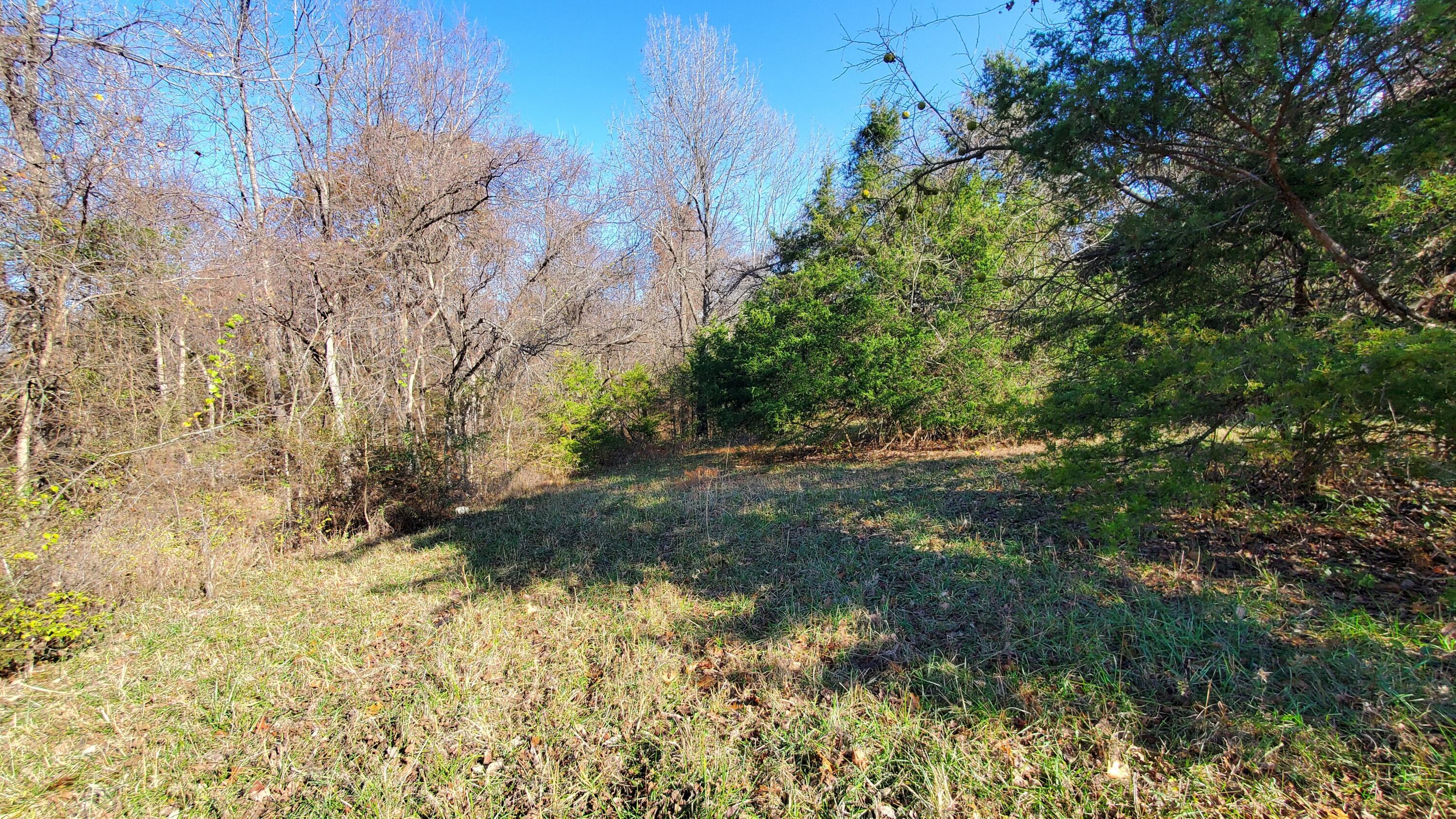 Photo 2 - Land for sale – 7077 W Musket Ridge Road  Republic, MO