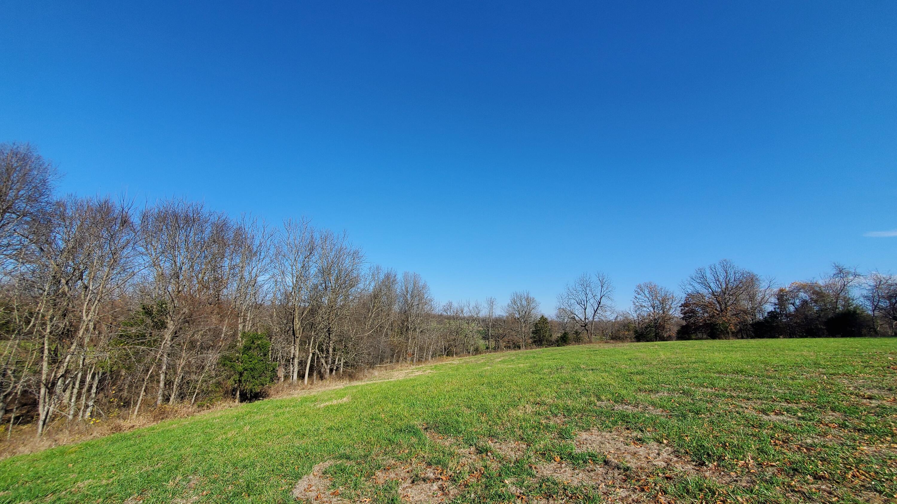 Land for sale – 7165 W Musket Ridge Road  Republic, MO