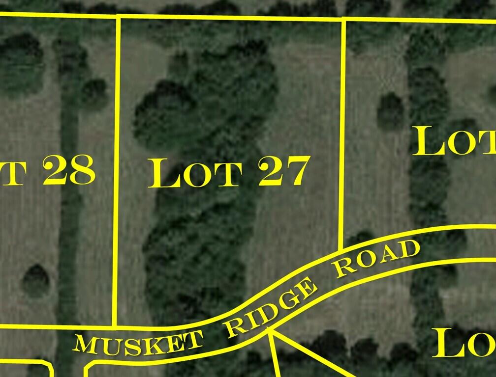 Photo 3 - Land for sale – 7165 W Musket Ridge Road  Republic, MO