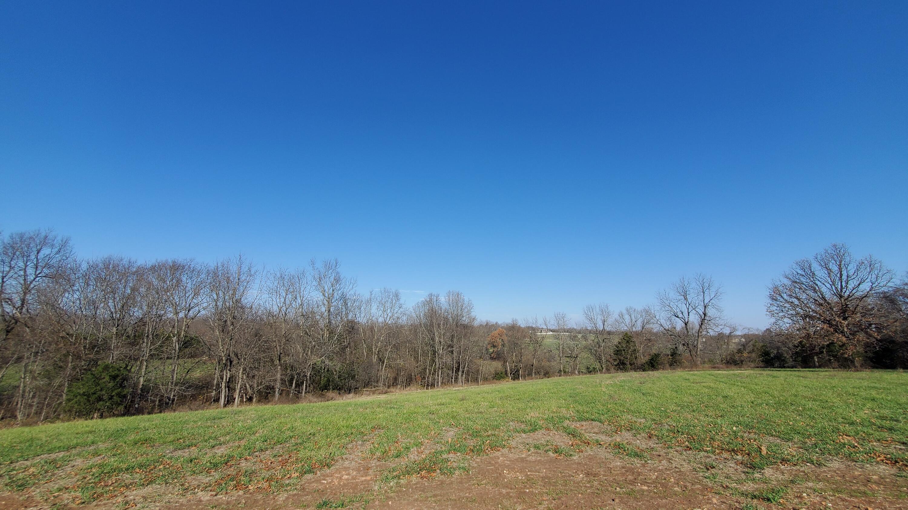 Photo 2 - Land for sale – 7165 W Musket Ridge Road  Republic, MO