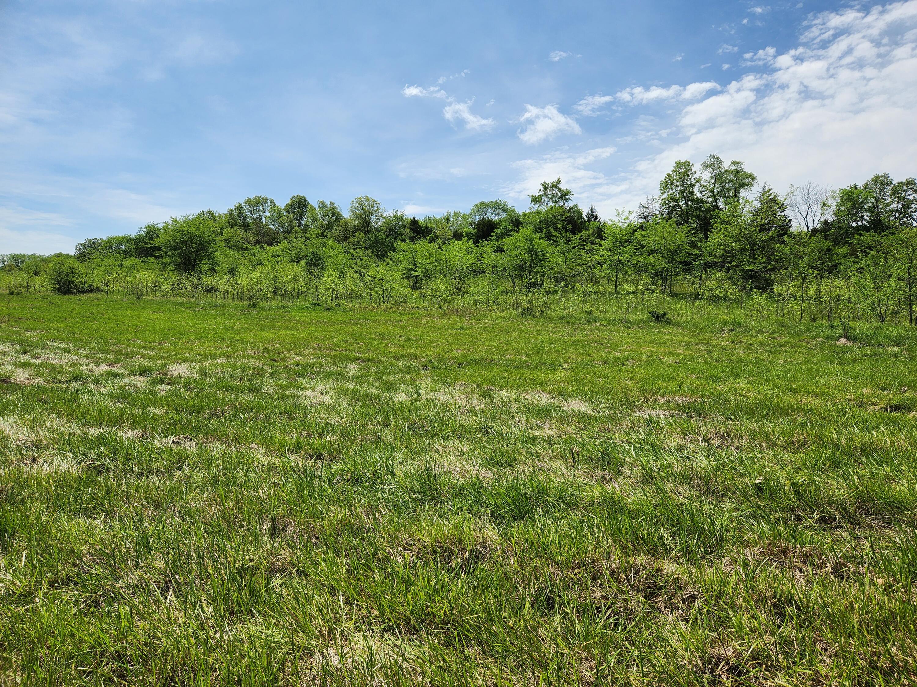 Photo 4 - Land for sale – 000  River Pass Drive Lot 4 Phase 1   Marshfield, MO