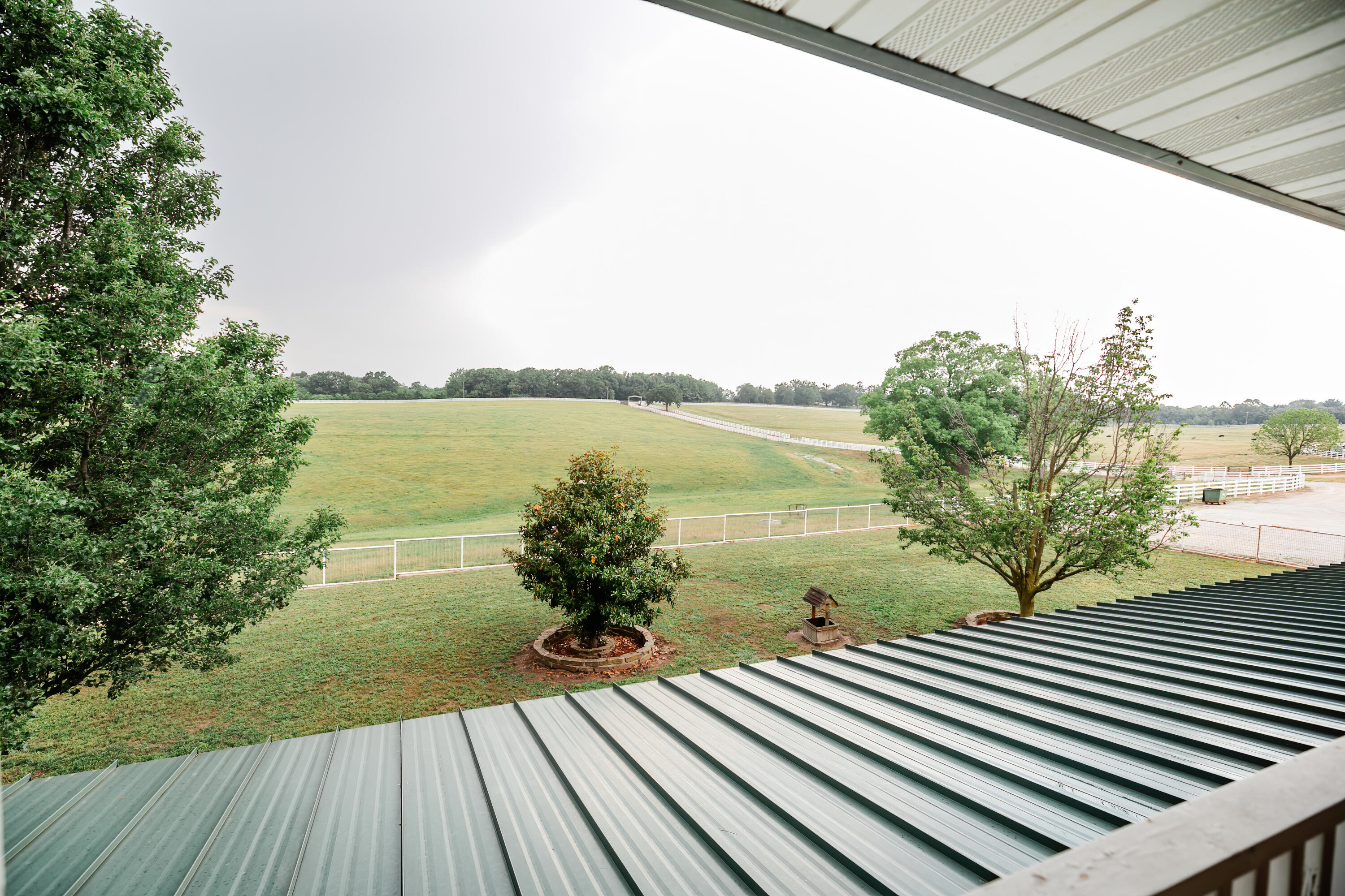 Photo 123 - Farm for sale – 352  State Highway 245   Dadeville, MO