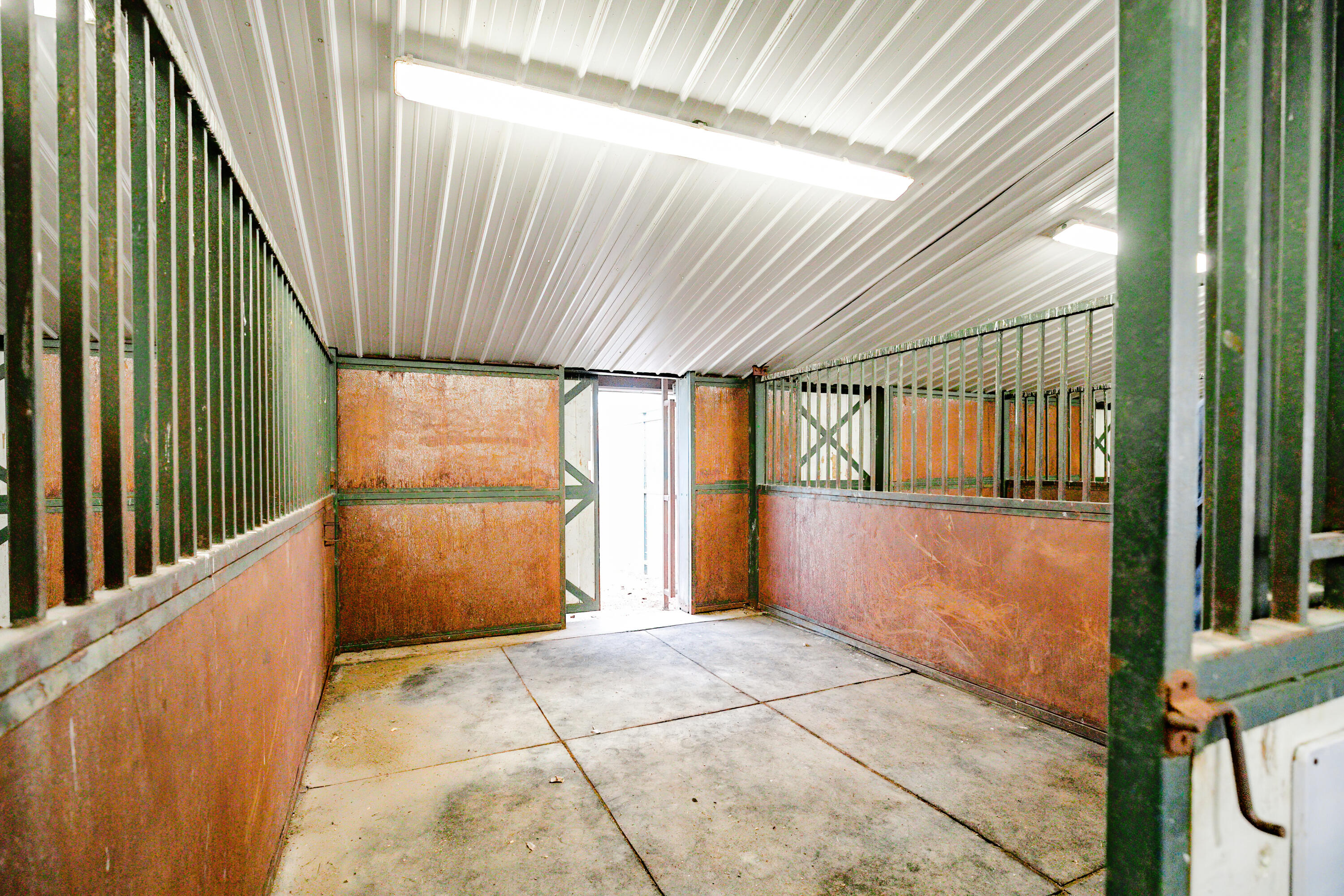 Photo 74 - Farm for sale – 352  State Highway 245   Dadeville, MO