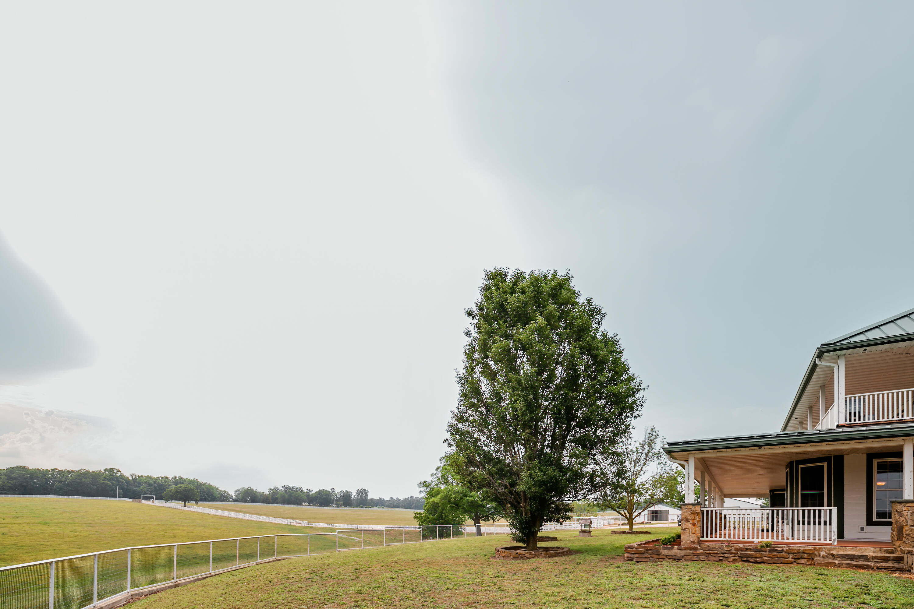 Photo 127 - Farm for sale – 352  State Highway 245   Dadeville, MO