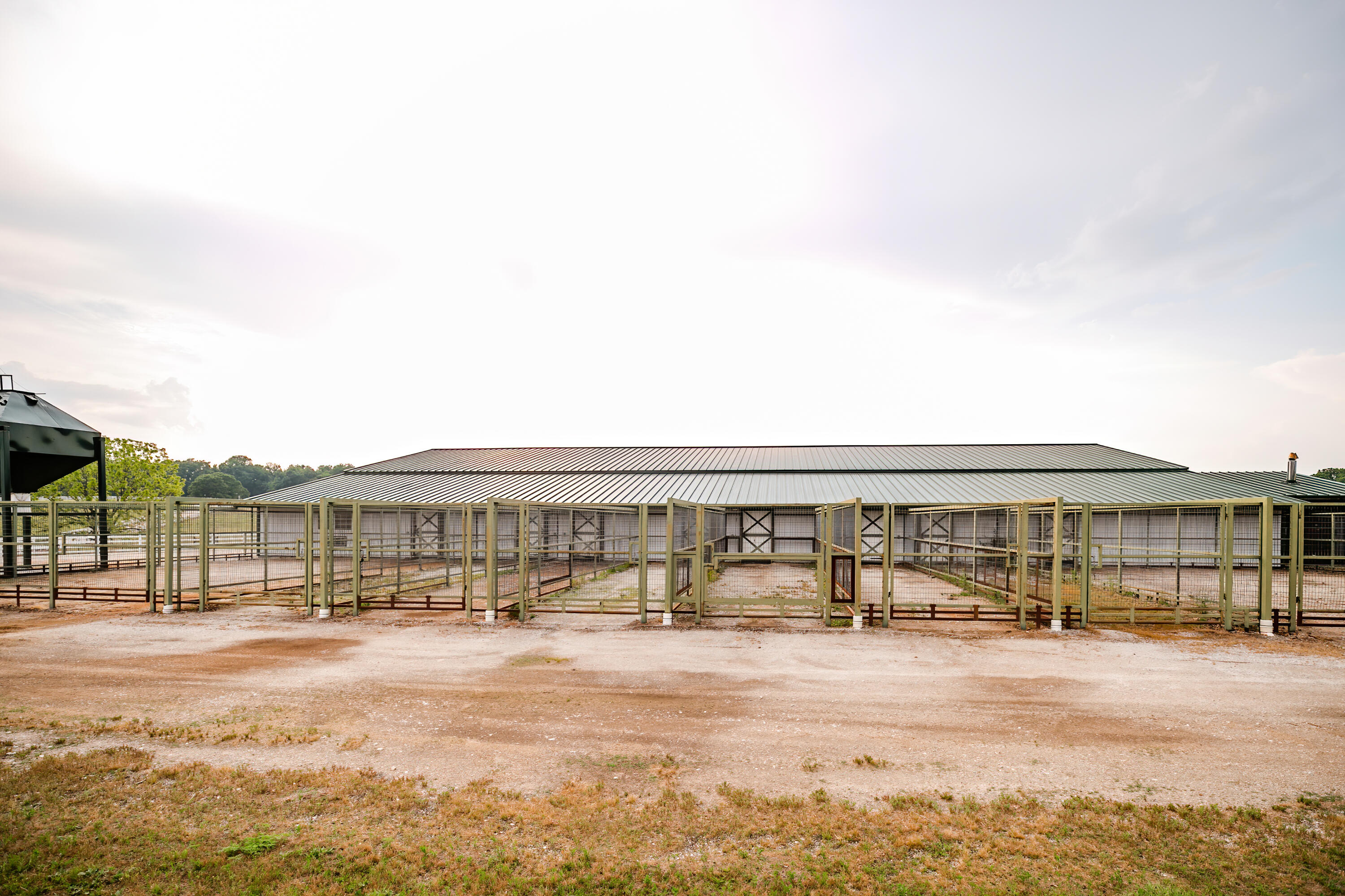 Photo 77 - Farm for sale – 352  State Highway 245   Dadeville, MO