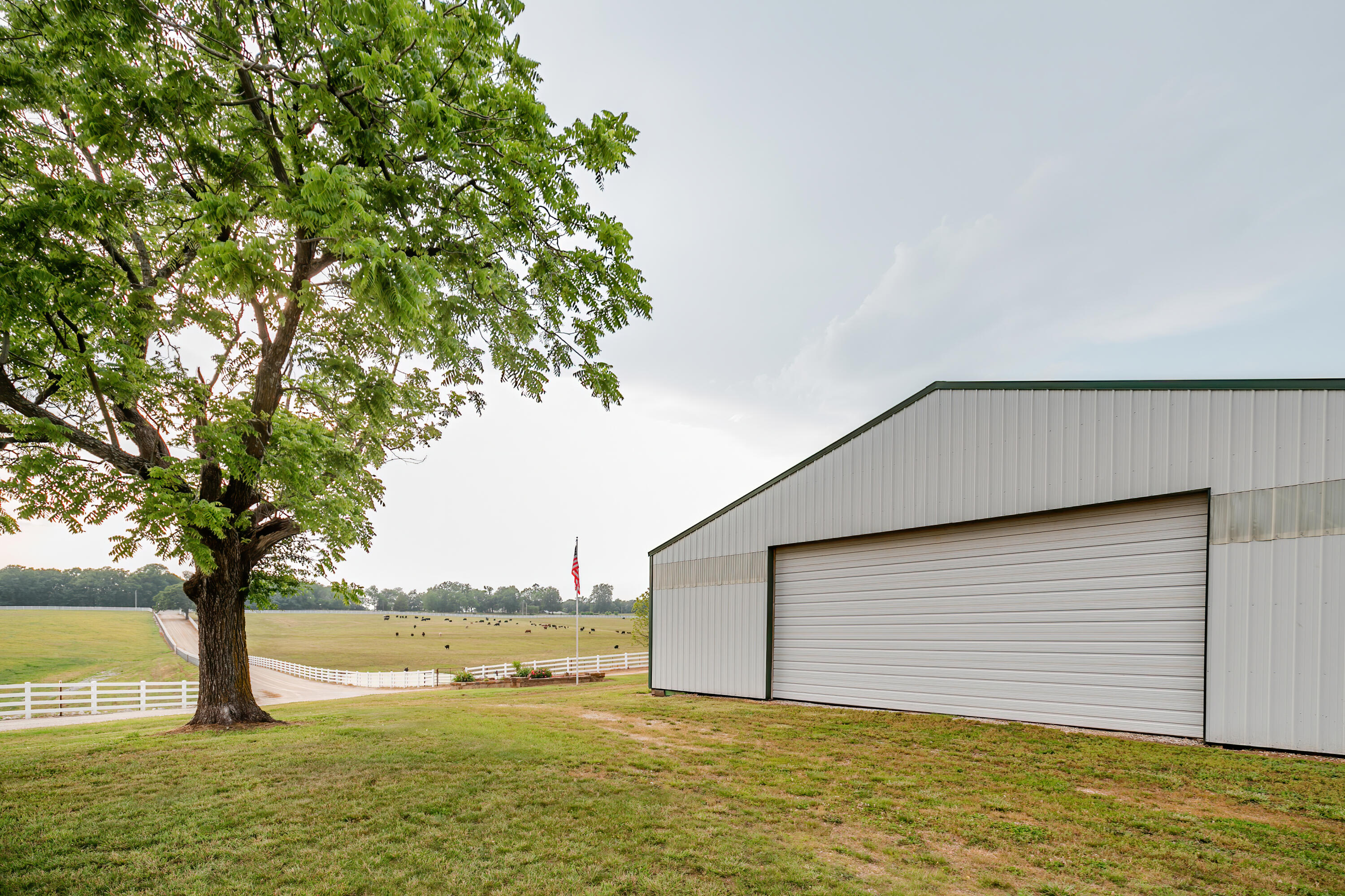 Photo 100 - Farm for sale – 352  State Highway 245   Dadeville, MO