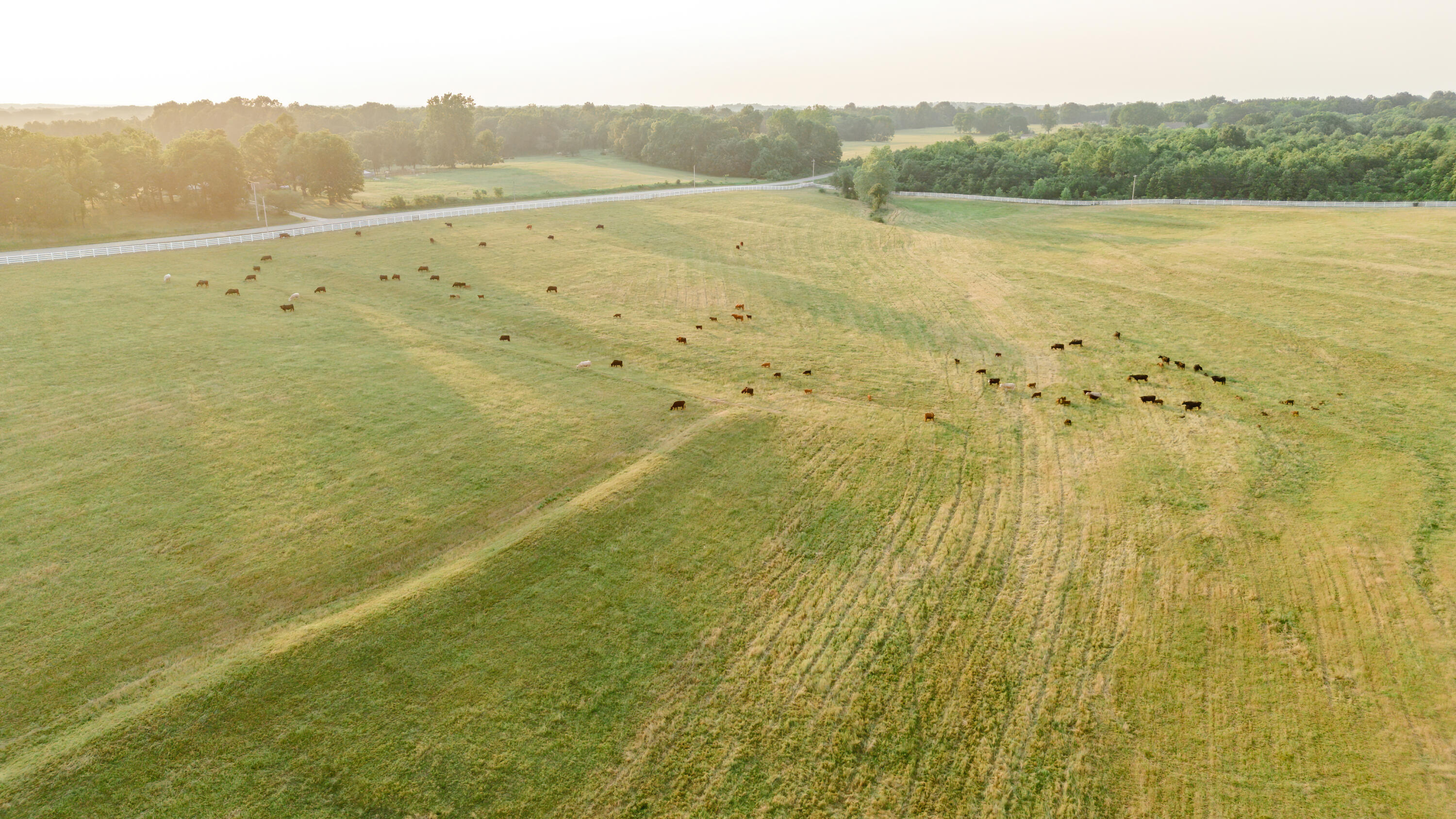 Photo 3 - Farm for sale – 352  State Highway 245   Dadeville, MO