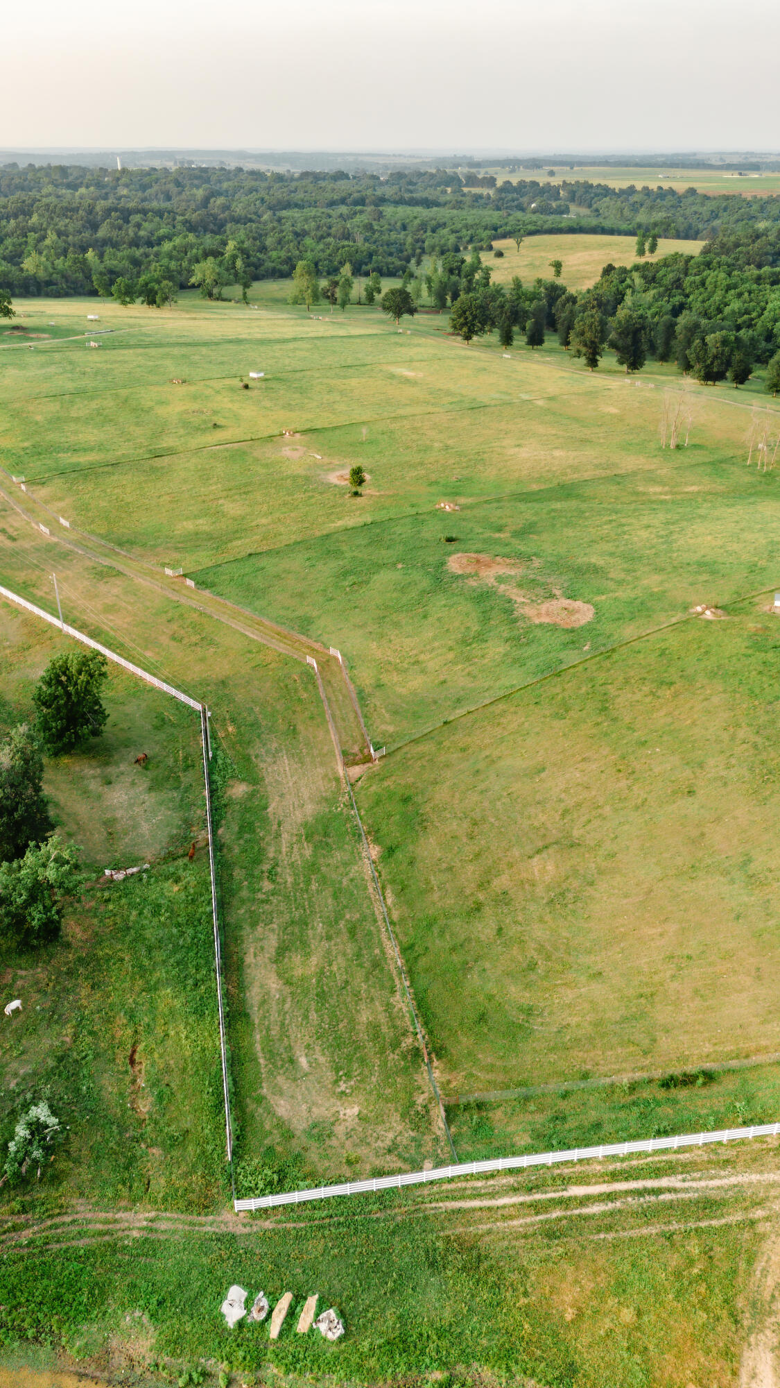 Photo 130 - Farm for sale – 352  State Highway 245   Dadeville, MO