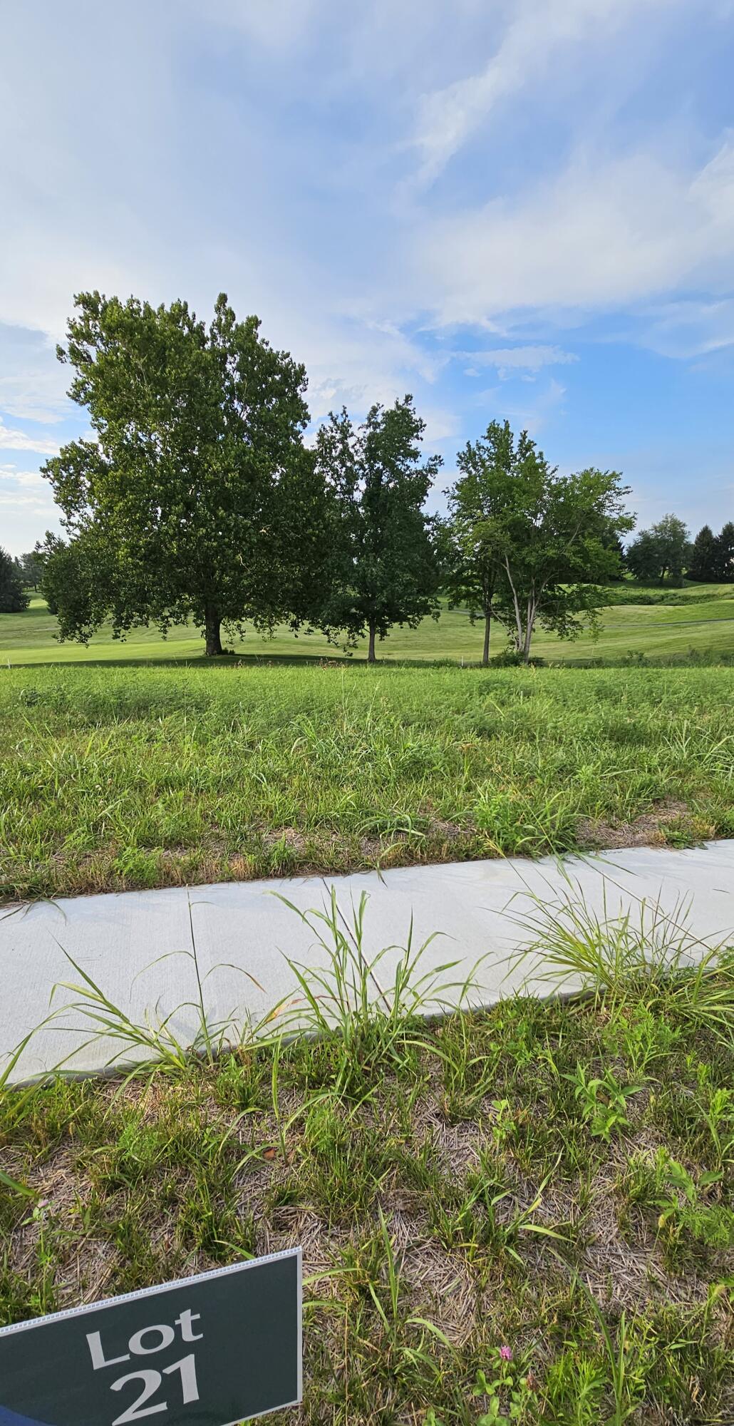 Photo 2 - Land for sale – Lot 21  Highland Spring/Vintage Pointe   Springfield, MO