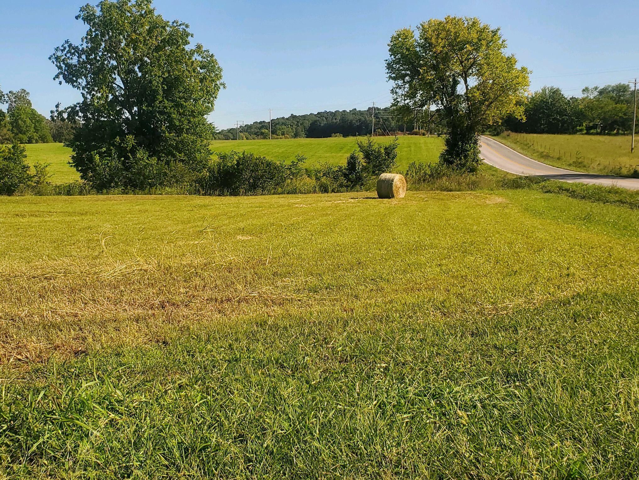 Commercial Lease for sale – 000 S Highway H   Pleasant Hope, MO