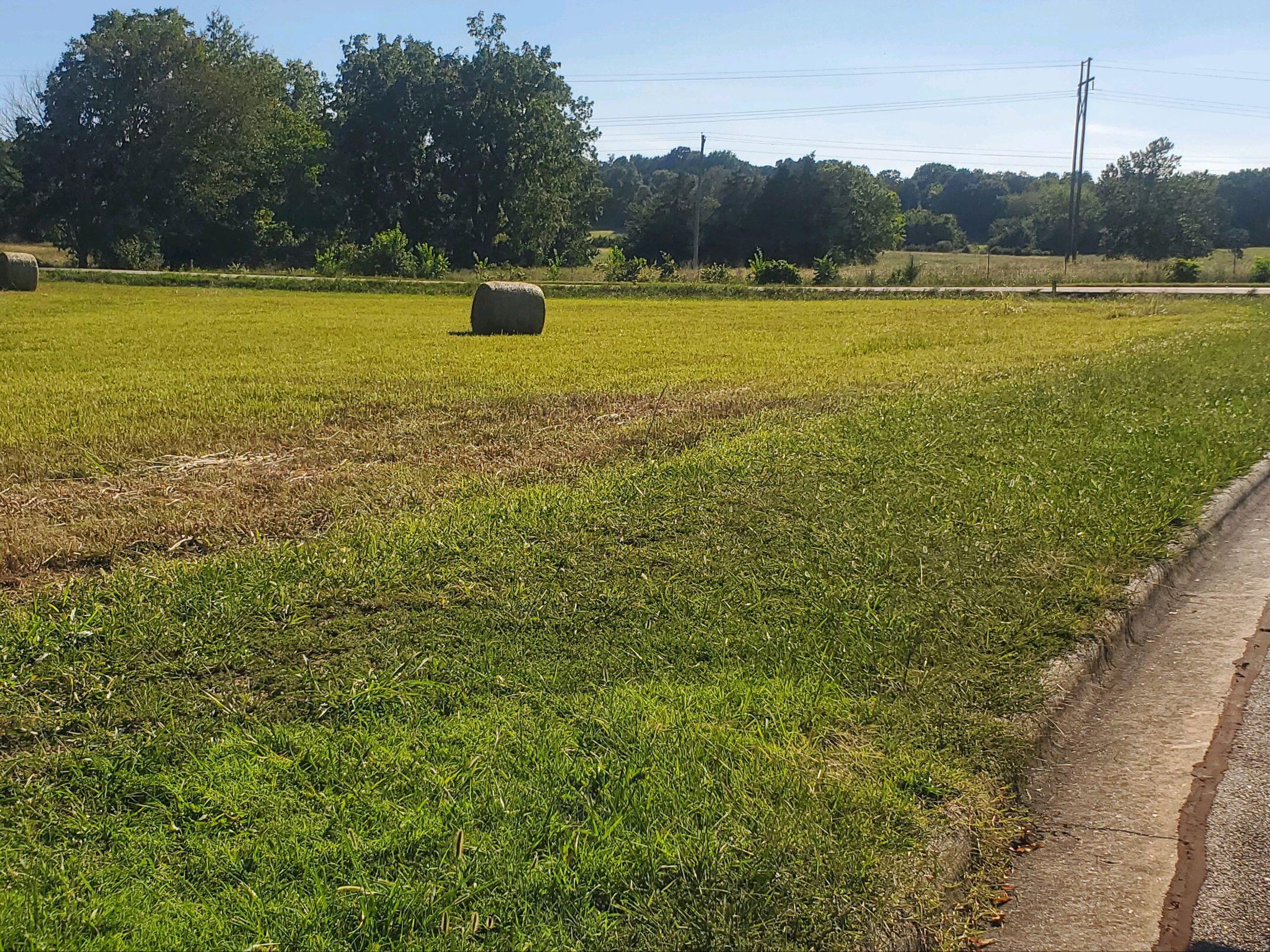 Photo 4 - Commercial Lease for sale – 000 S Highway H   Pleasant Hope, MO