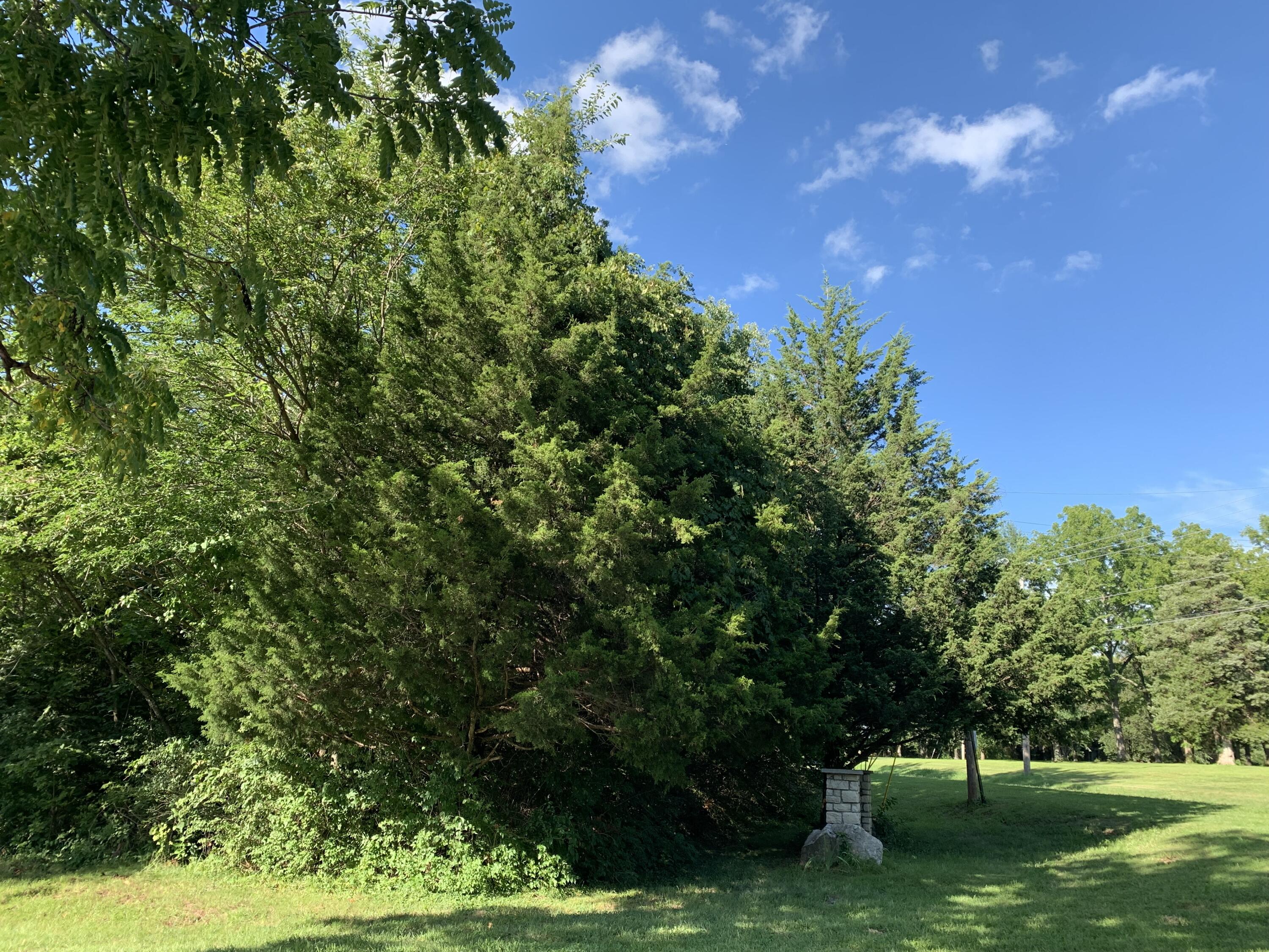 Photo 3 - Land for sale – 000 S Woodcliffe Drive  Springfield, MO