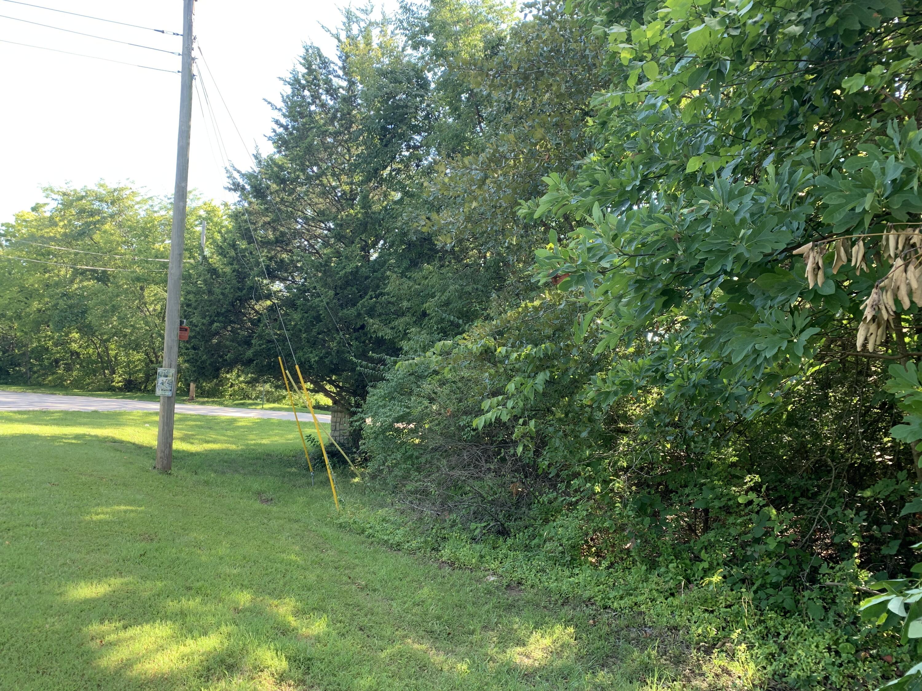 Photo 8 - Land for sale – 000 S Woodcliffe Drive  Springfield, MO
