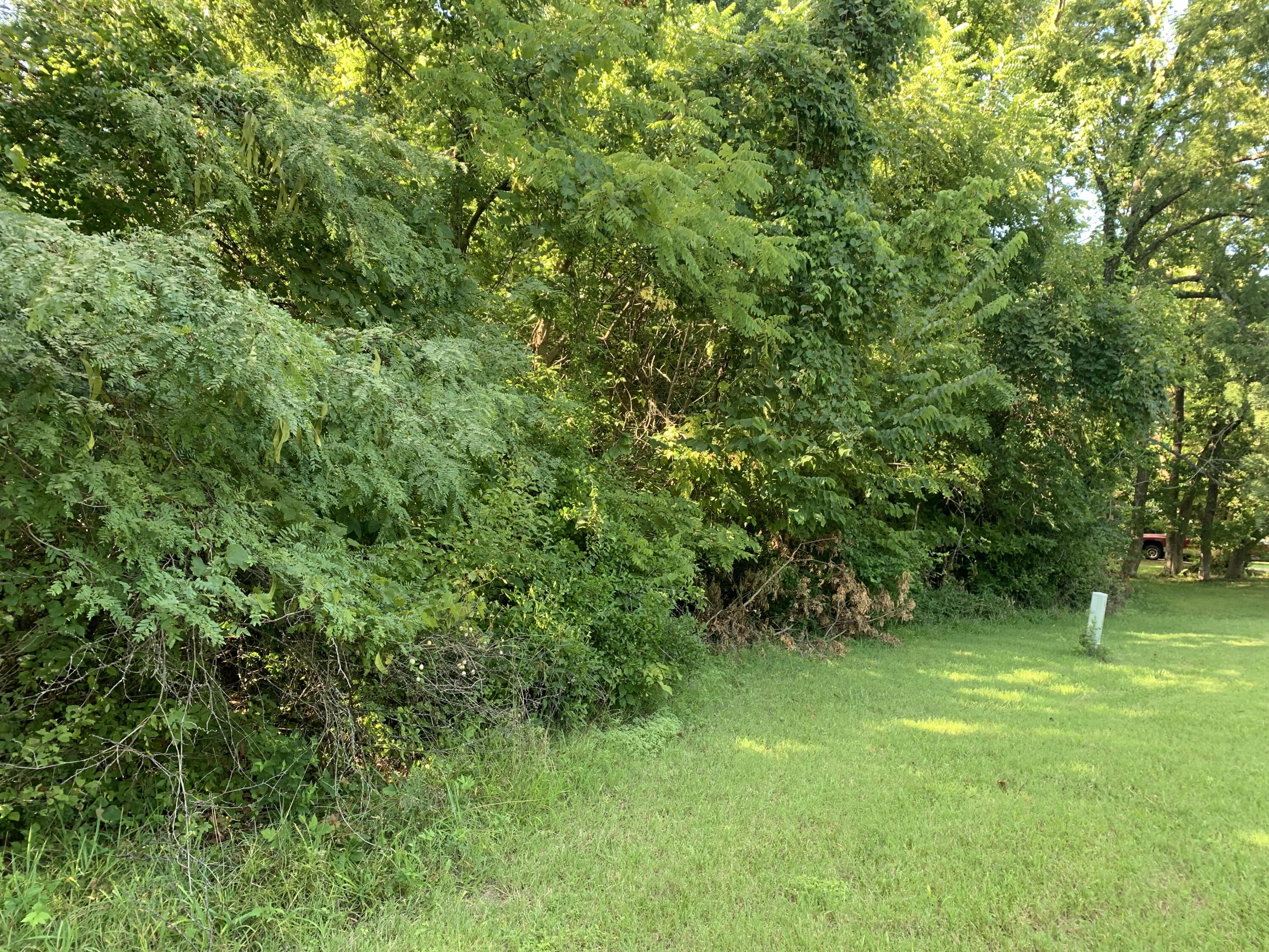 Photo 9 - Land for sale – 000 S Woodcliffe Drive  Springfield, MO
