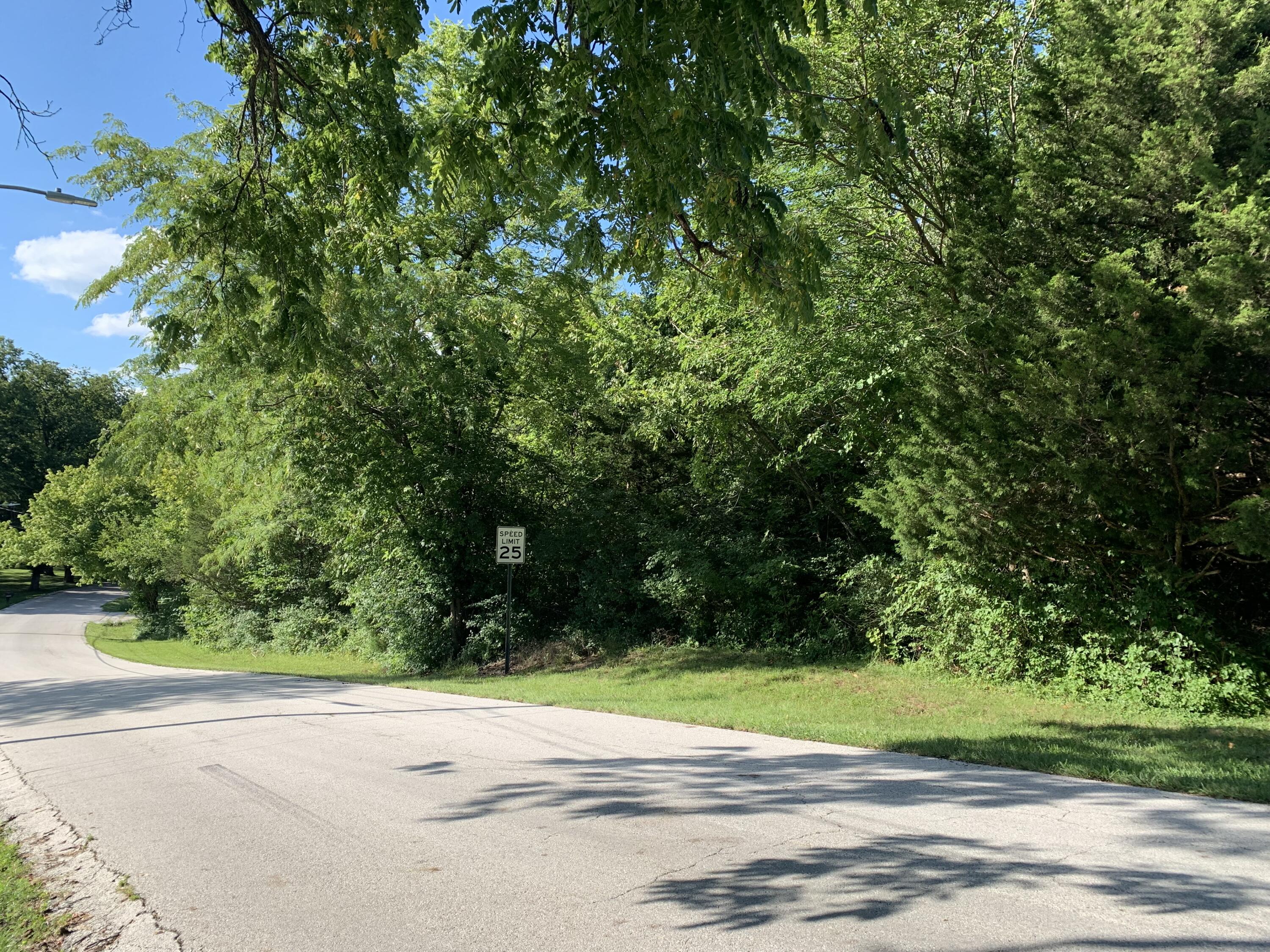 Photo 4 - Land for sale – 000 S Woodcliffe Drive  Springfield, MO