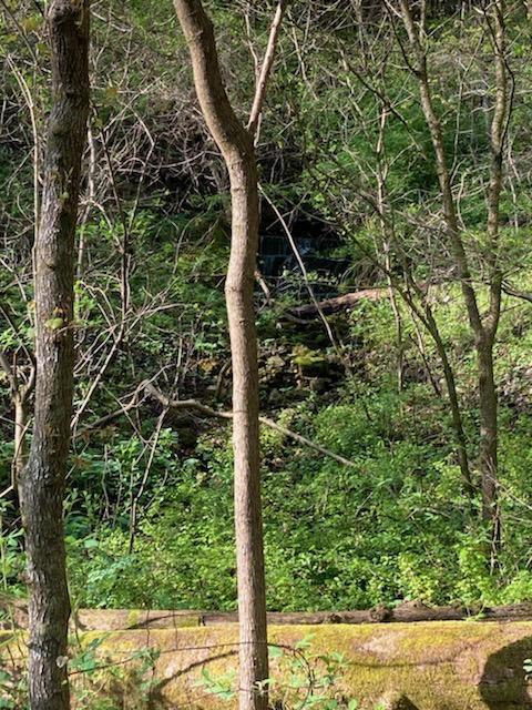 Photo 7 - Land for sale – 000  Rodeo Lane   Crane, MO
