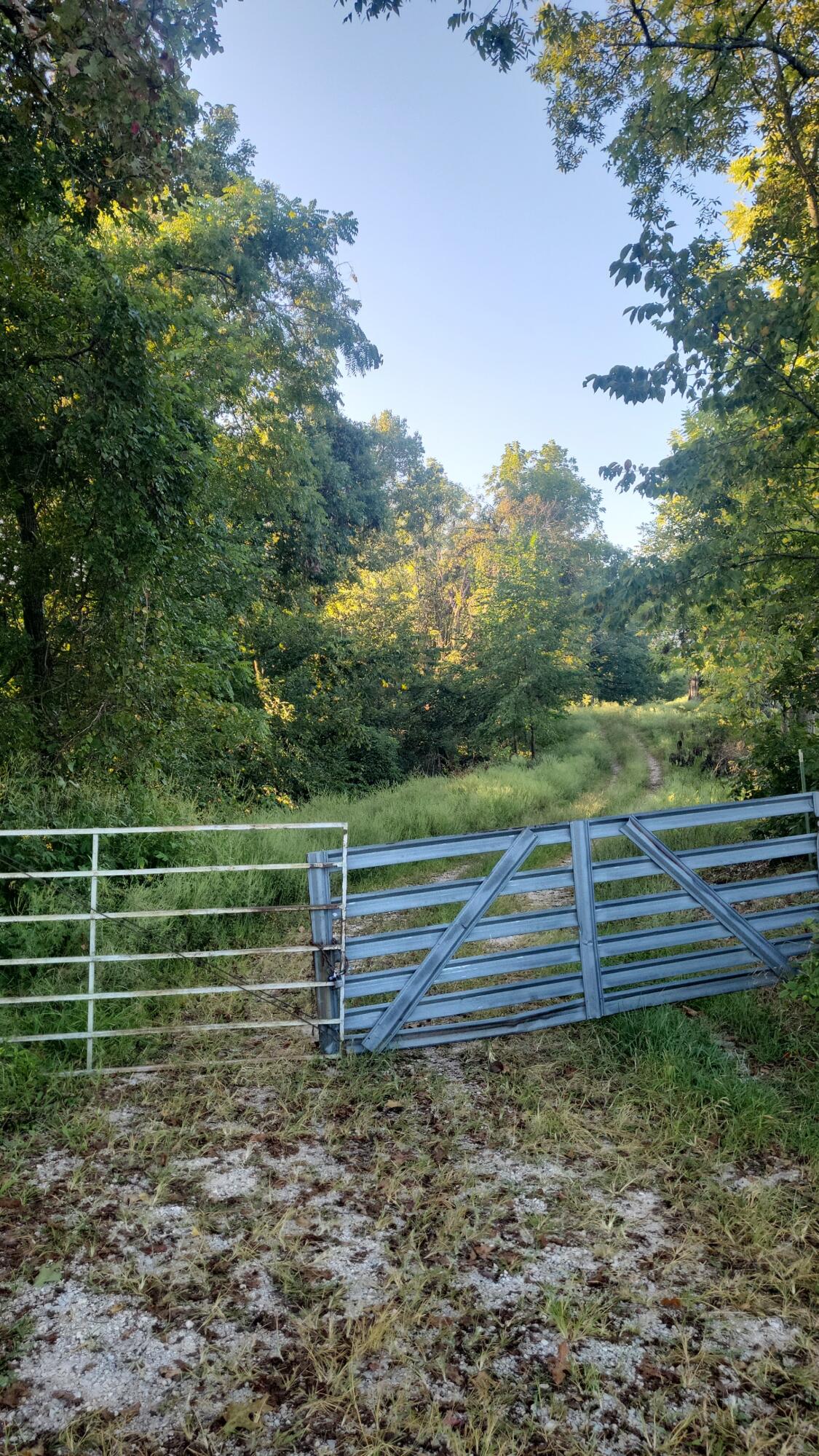 Photo 16 - Land for sale – 000  Rodeo Lane   Crane, MO