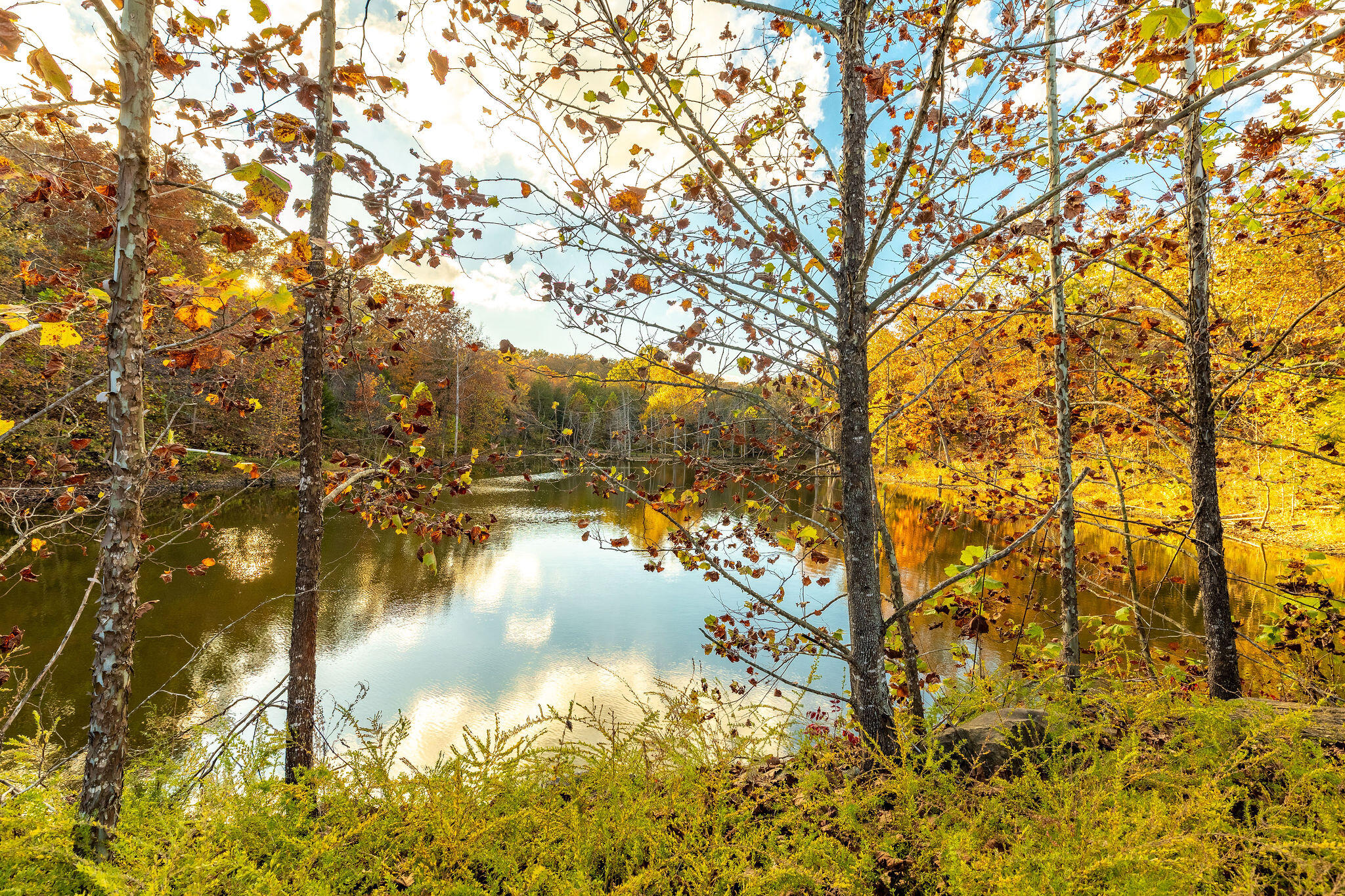 Photo 5 - Land for sale – 0  Golden Bay Estates   Golden, MO