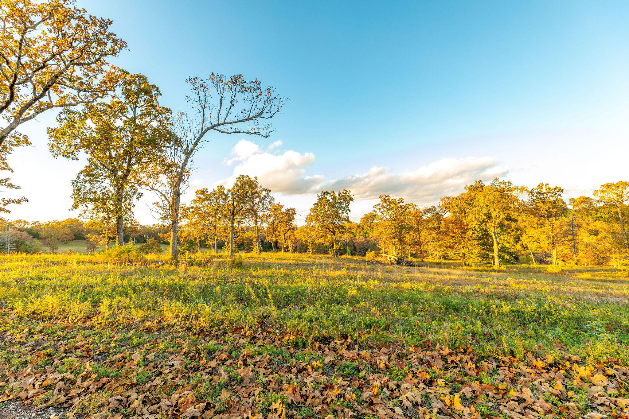 Photo 12 - Land for sale – 0  Golden Bay Estates   Golden, MO