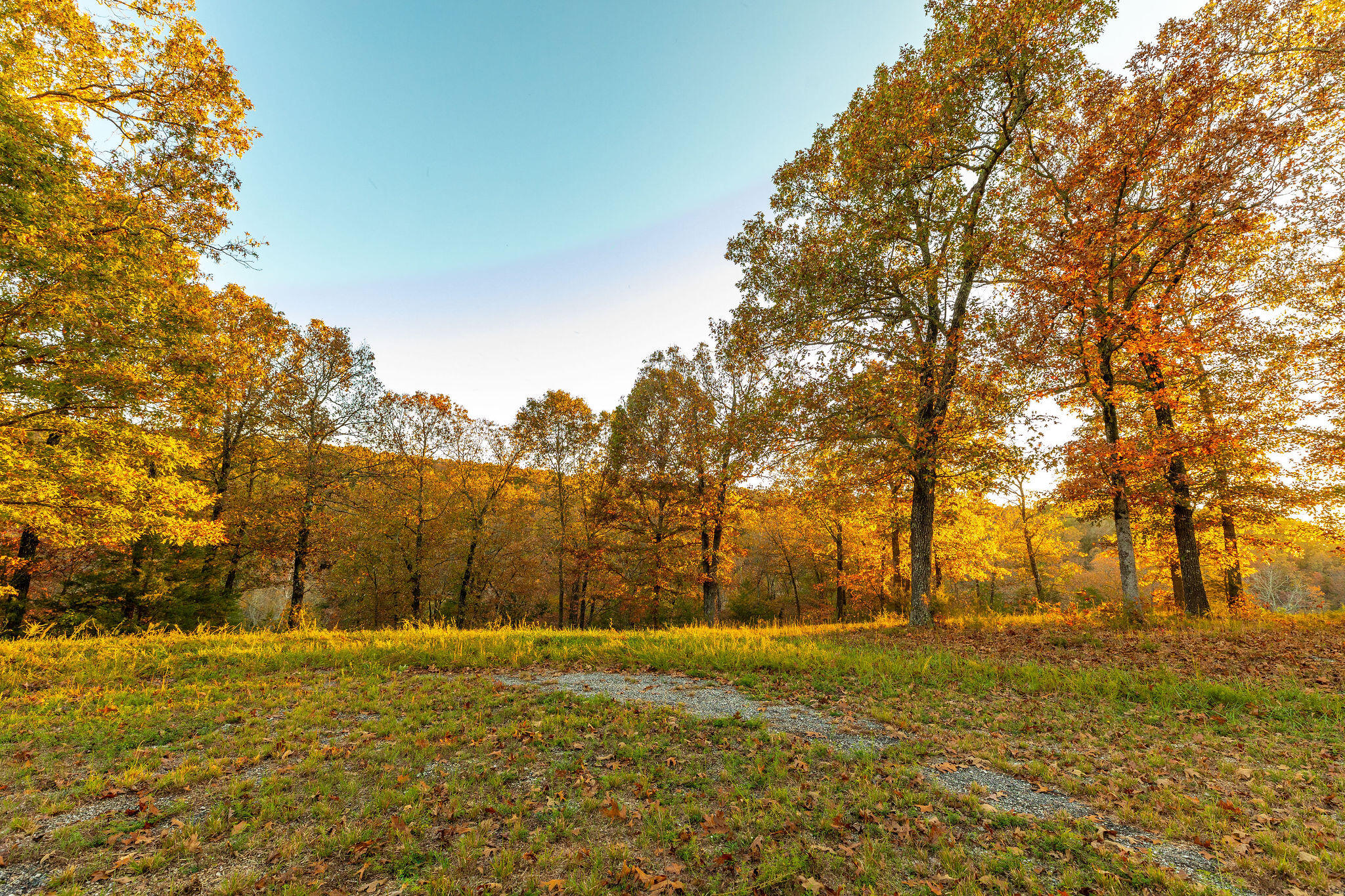 Photo 13 - Land for sale – 0  Golden Bay Estates   Golden, MO