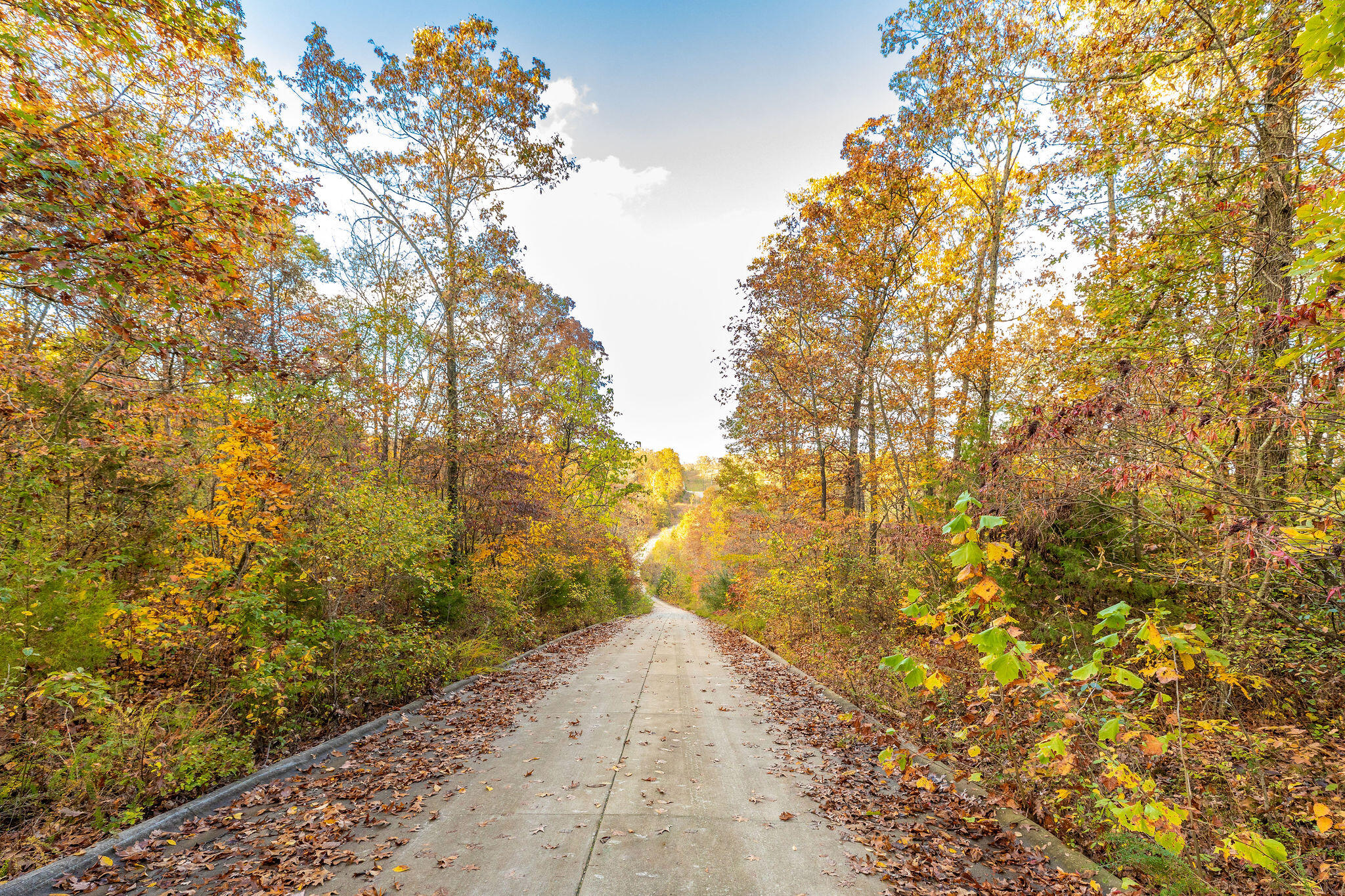 Photo 3 - Land for sale – 0  Golden Bay Estates   Golden, MO