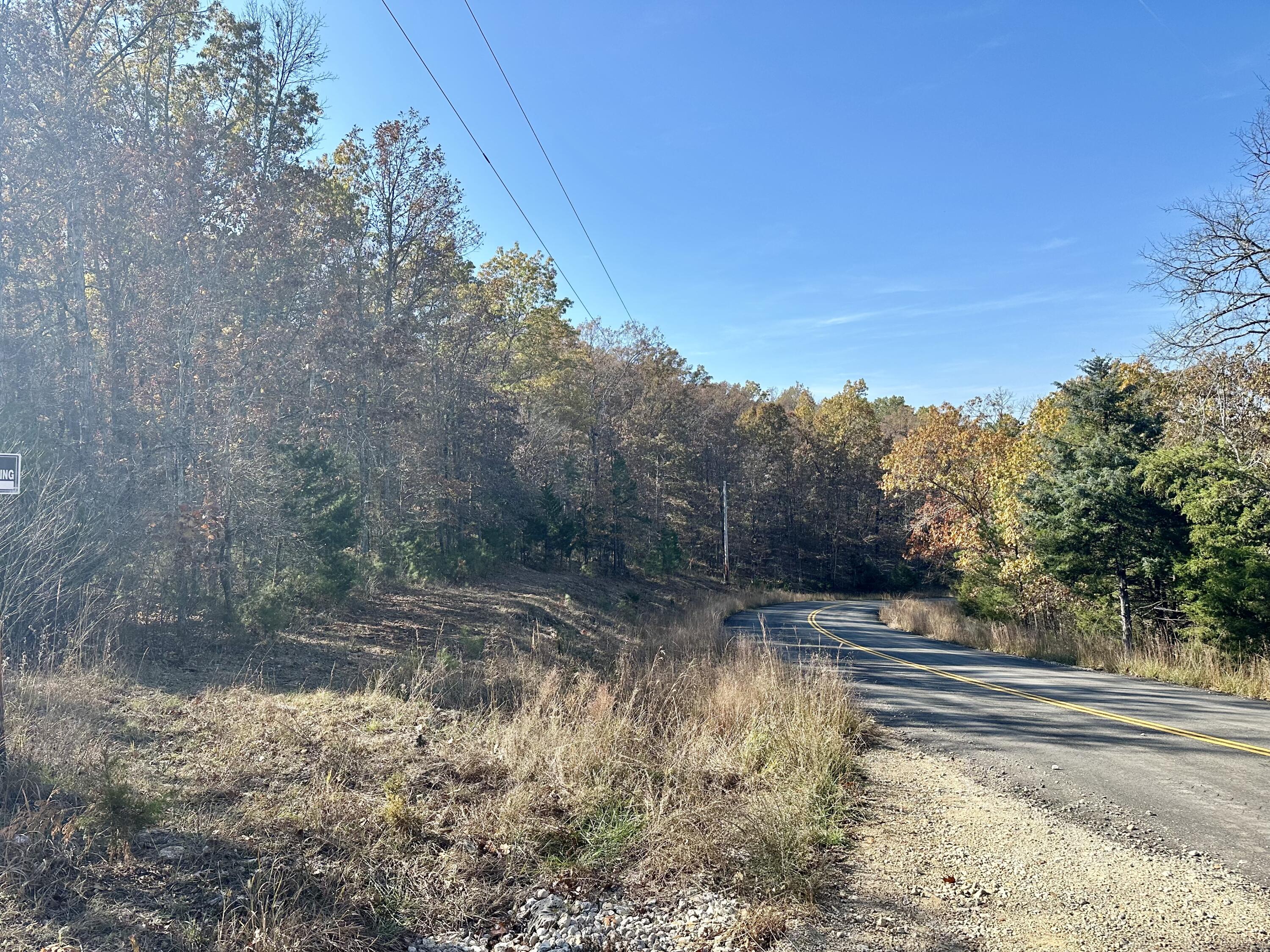 Photo 12 - Land for sale – 000  Route Z Highway   Van Buren, MO