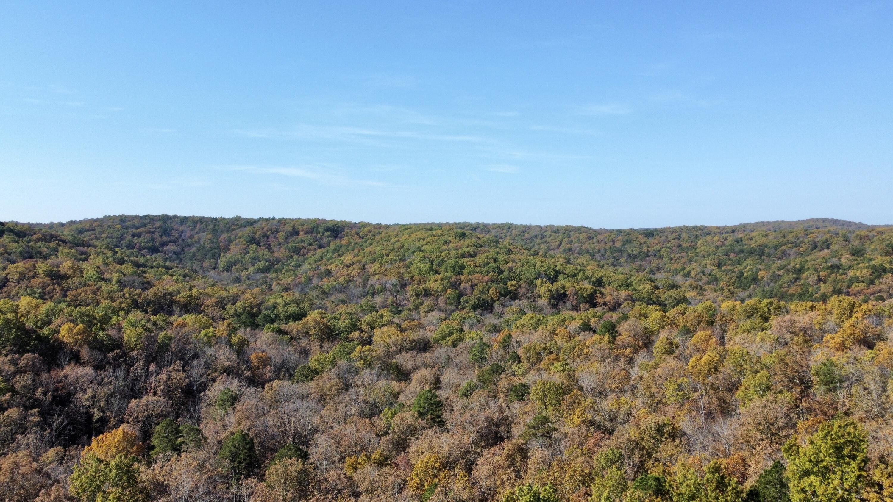 Photo 5 - Land for sale – 000  Route Z Highway   Van Buren, MO