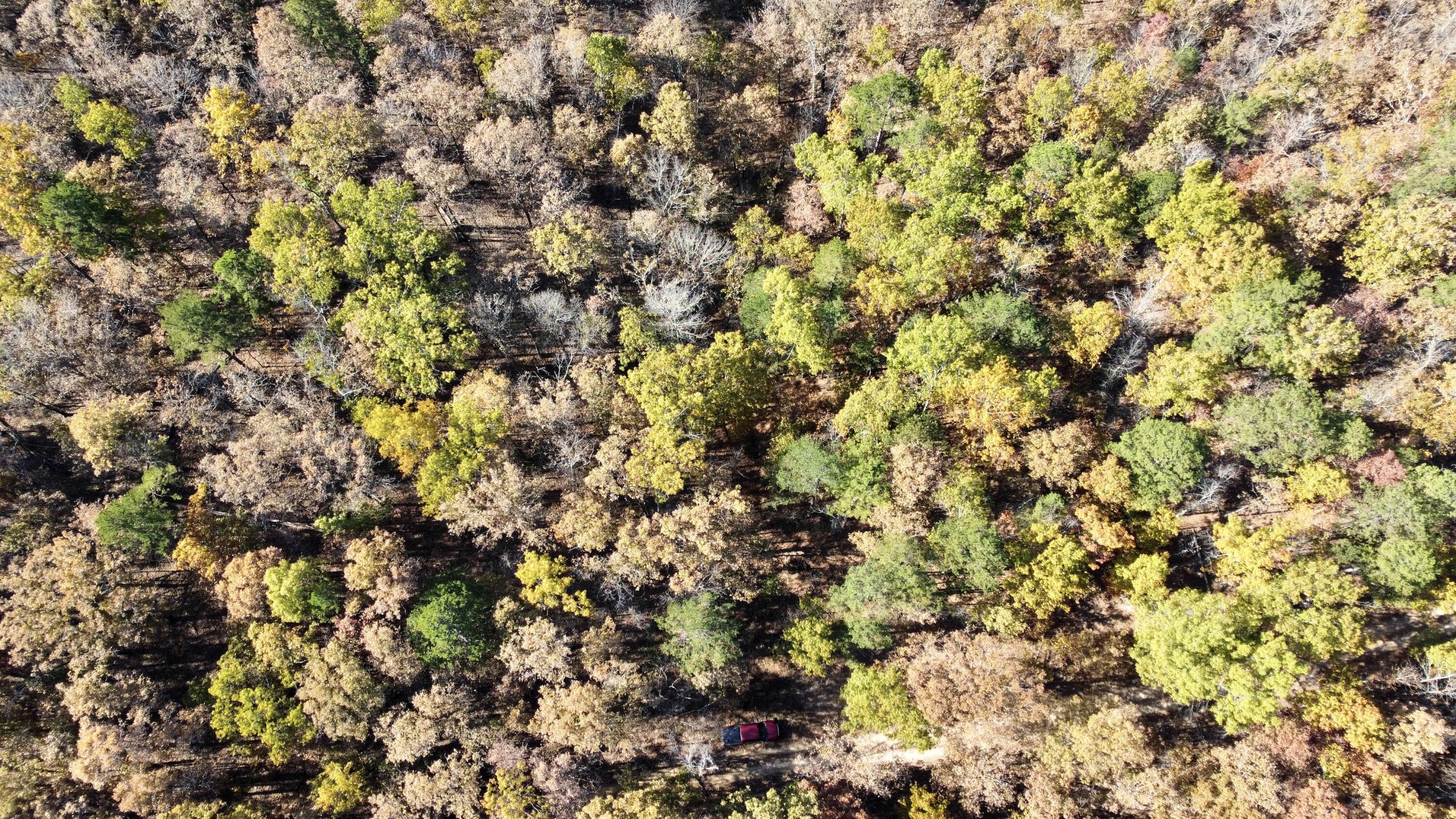Photo 11 - Land for sale – 000  Route Z Highway   Van Buren, MO