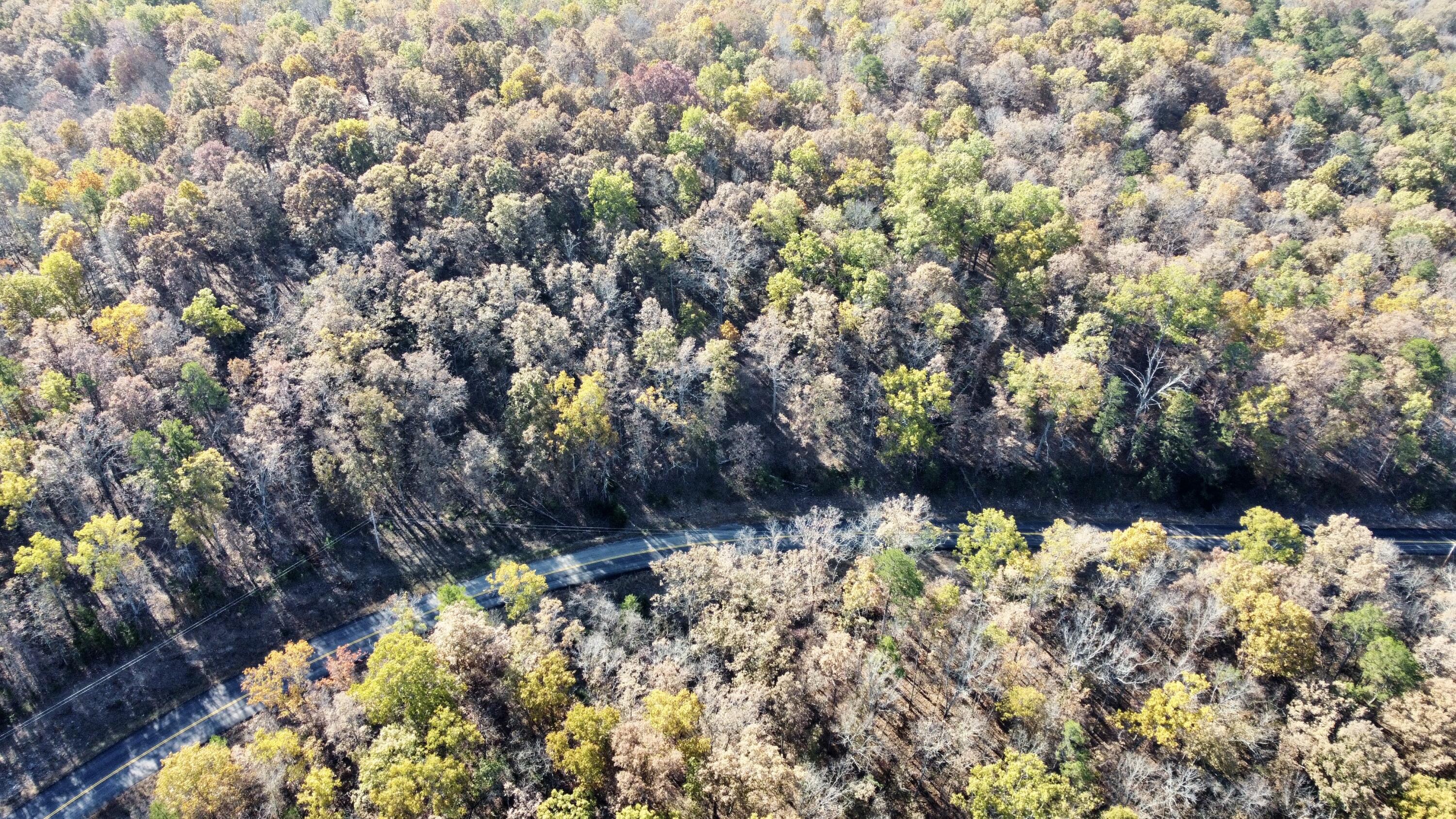 Photo 13 - Land for sale – 000  Route Z Highway   Van Buren, MO