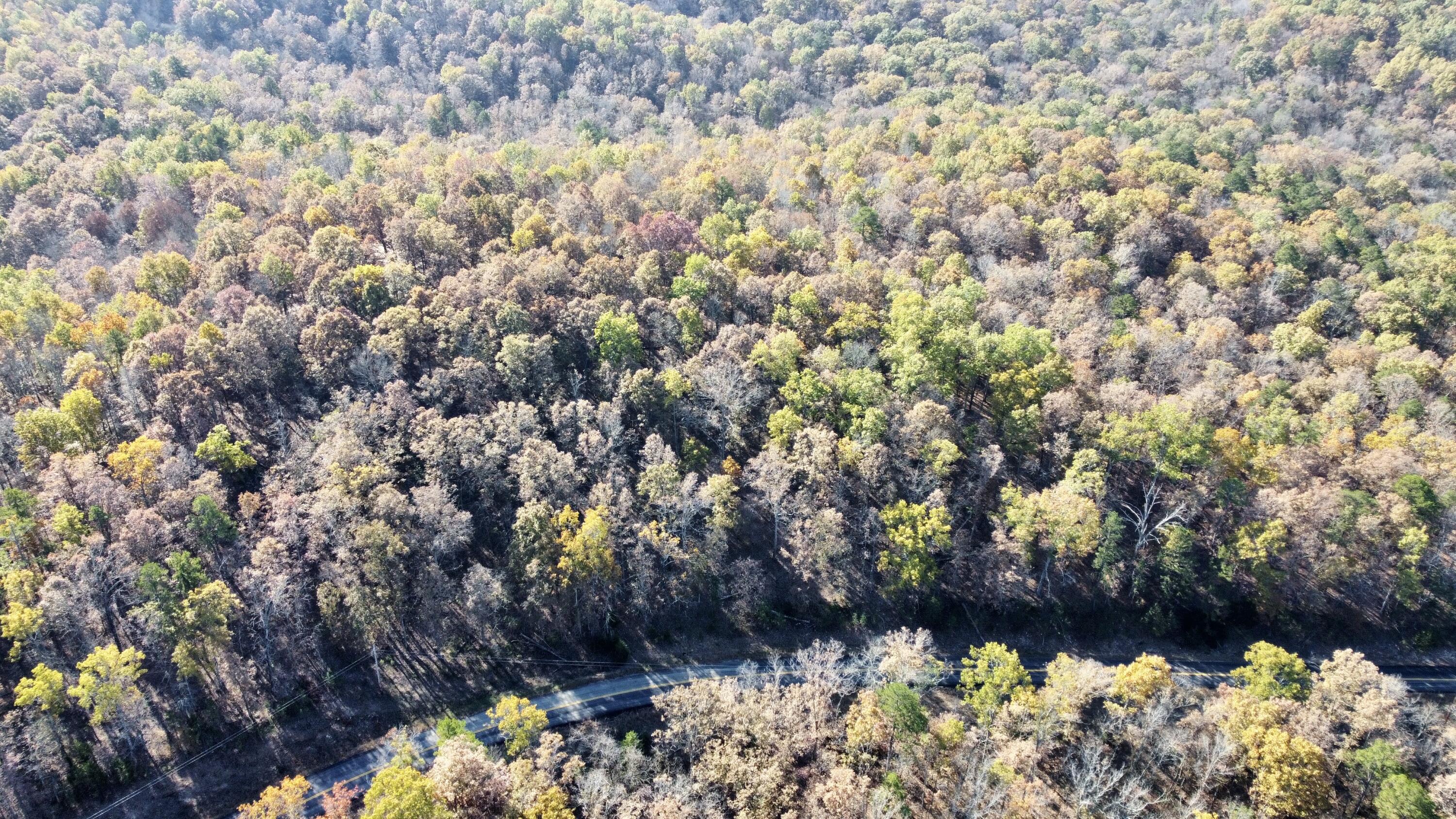 Land for sale – 000  Route Z Highway   Van Buren, MO