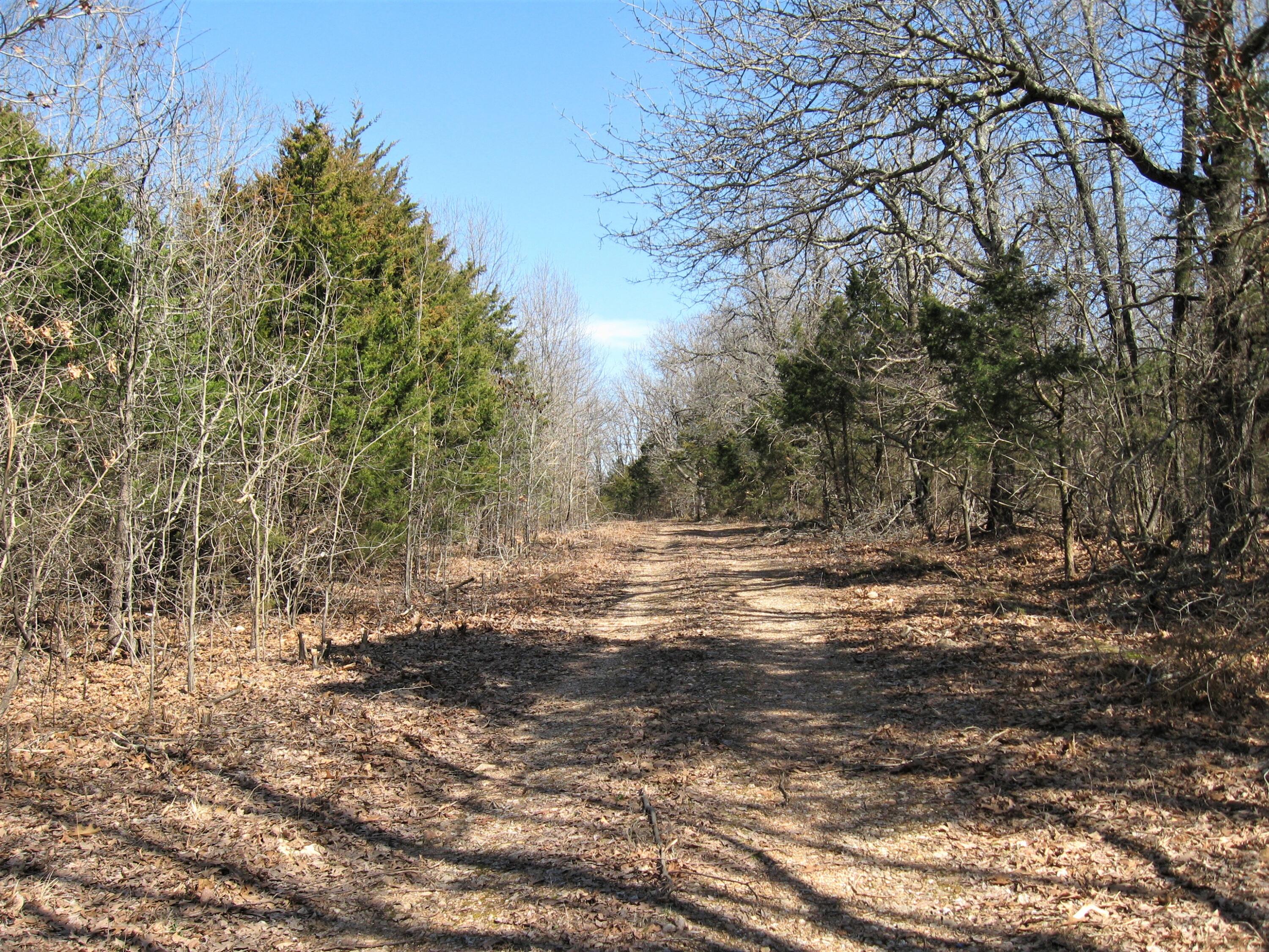 Photo 3 - Land for sale – 17650  Superior Road Road  St. Robert, MO