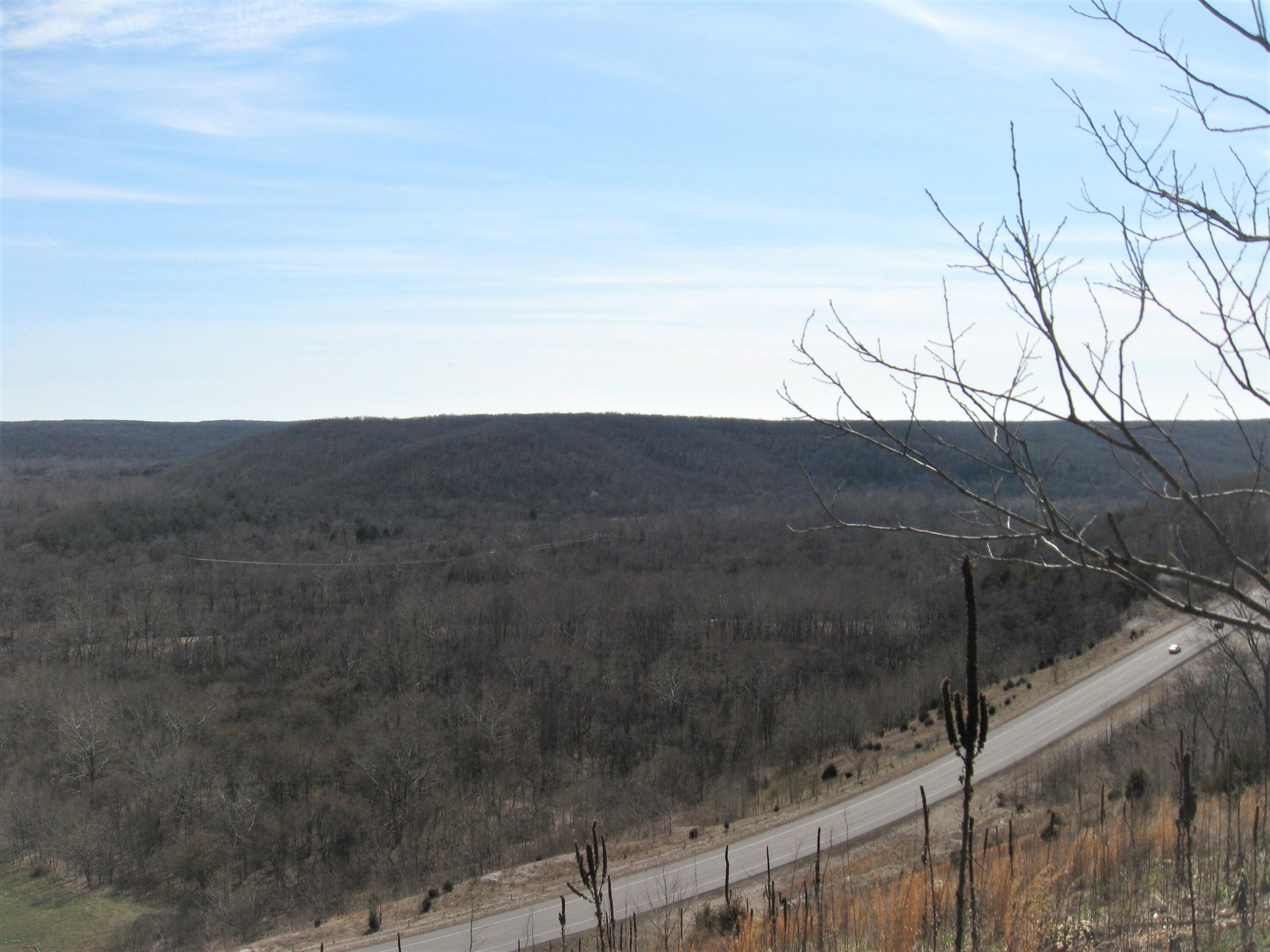 Photo 6 - Land for sale – 17650  Superior Road Road  St. Robert, MO