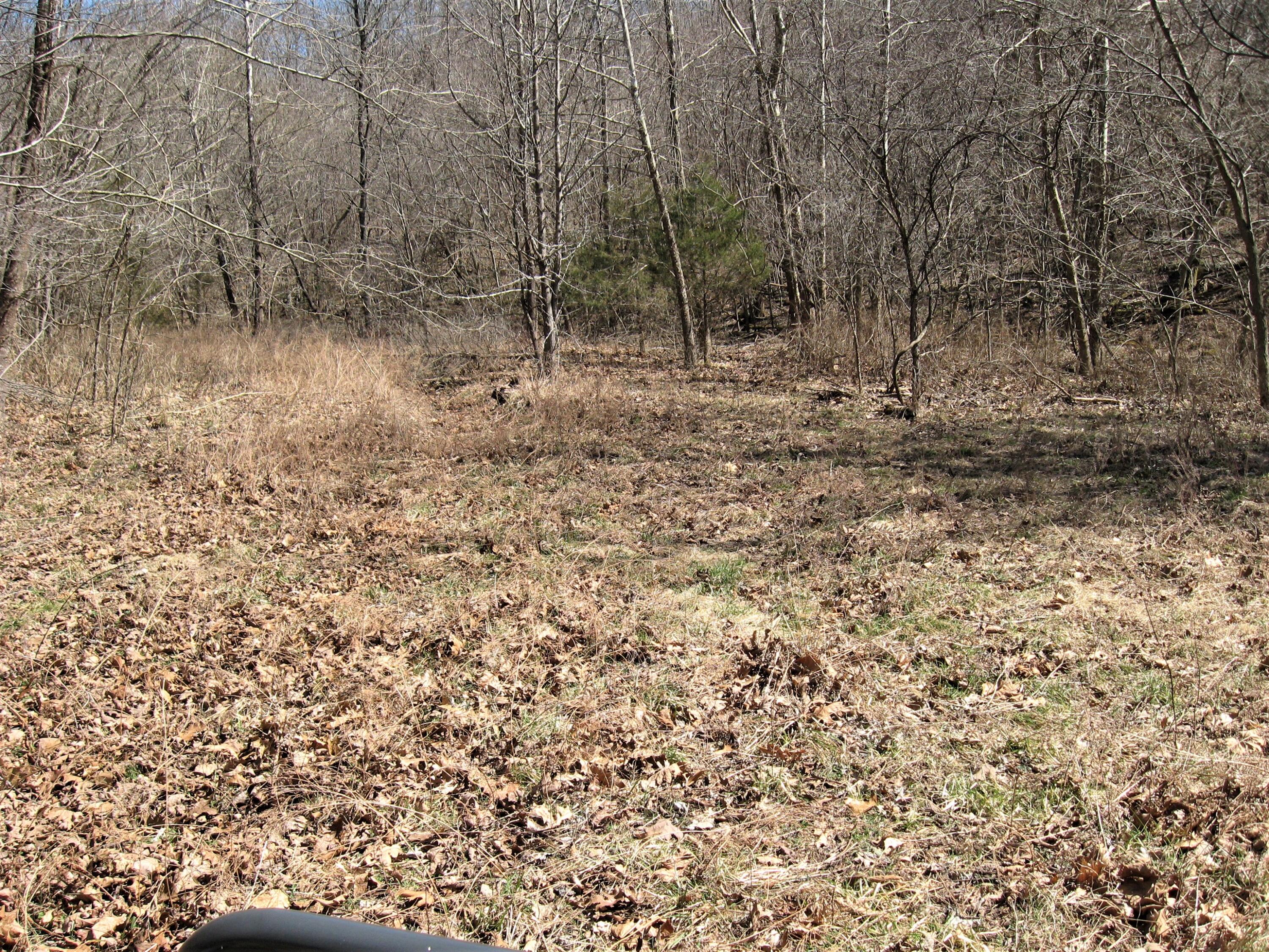Photo 3 - Land for sale – 000  Superior Road Road  St. Robert, MO