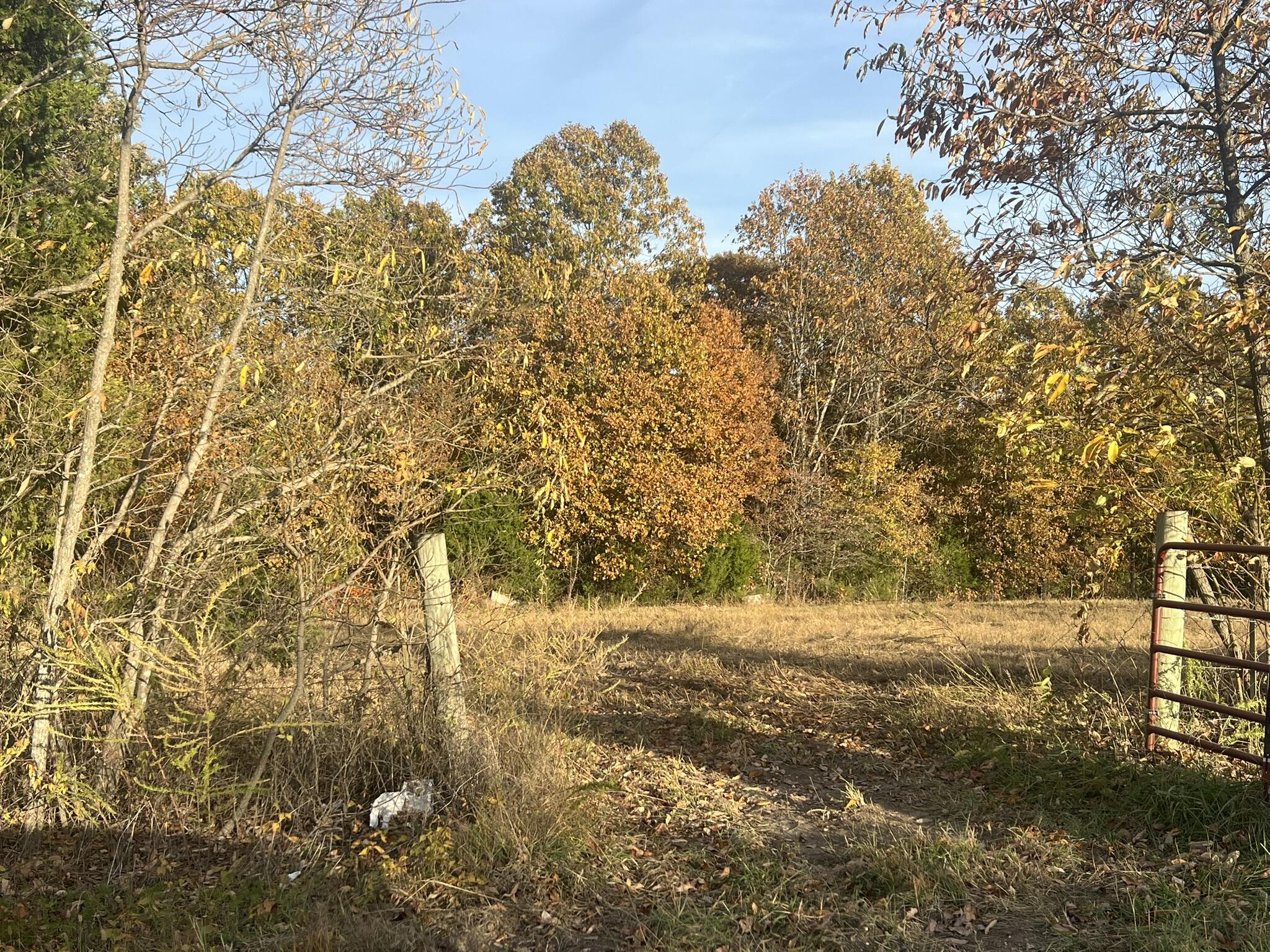 Photo 12 - Land for sale – 000  King Road  Mountain Grove, MO