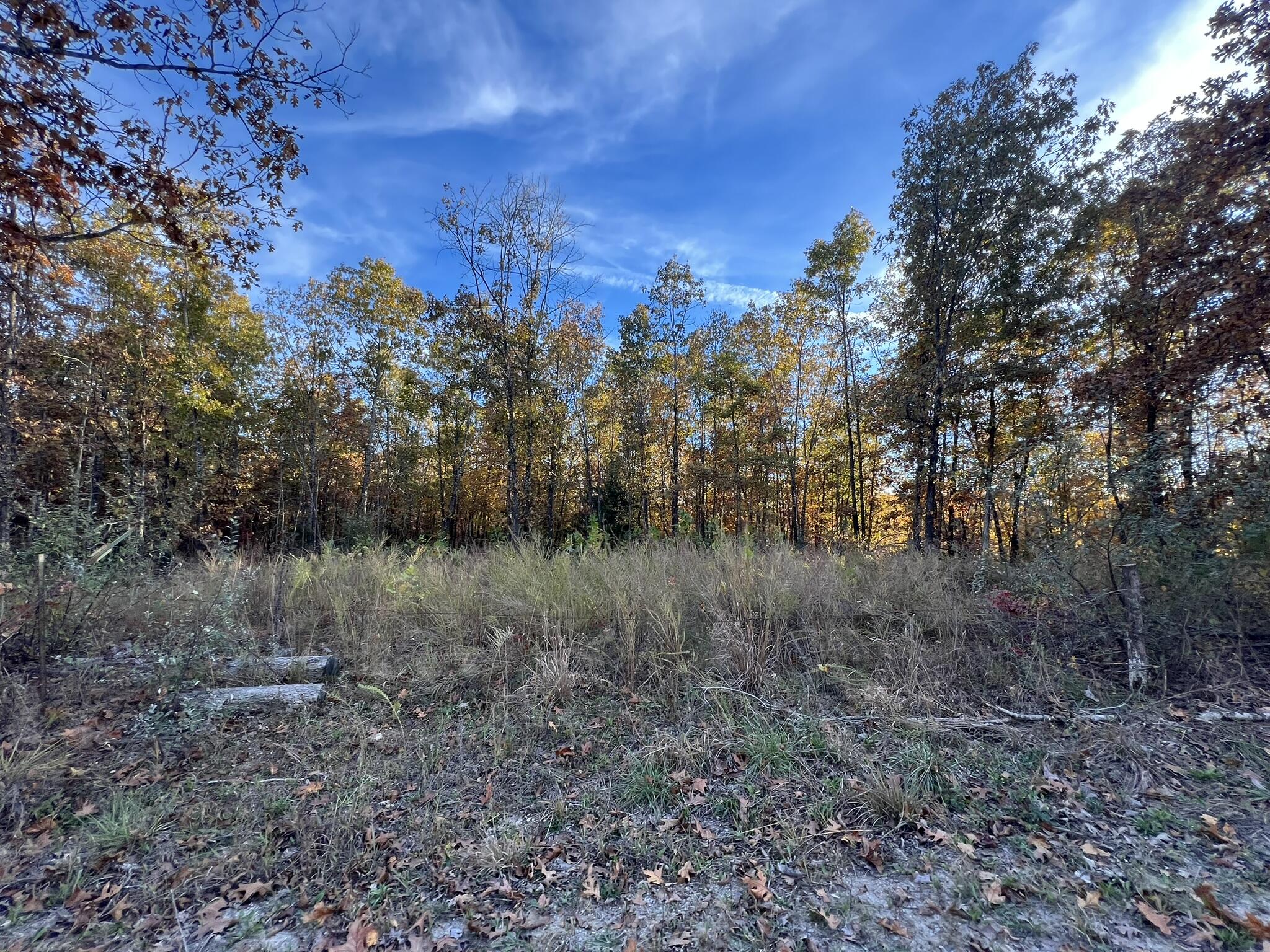 Photo 26 - Land for sale – 000  King Road  Mountain Grove, MO