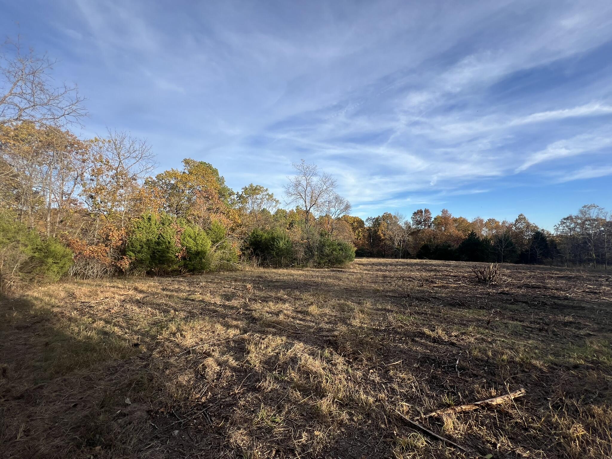 Photo 15 - Land for sale – 000  King Road  Mountain Grove, MO