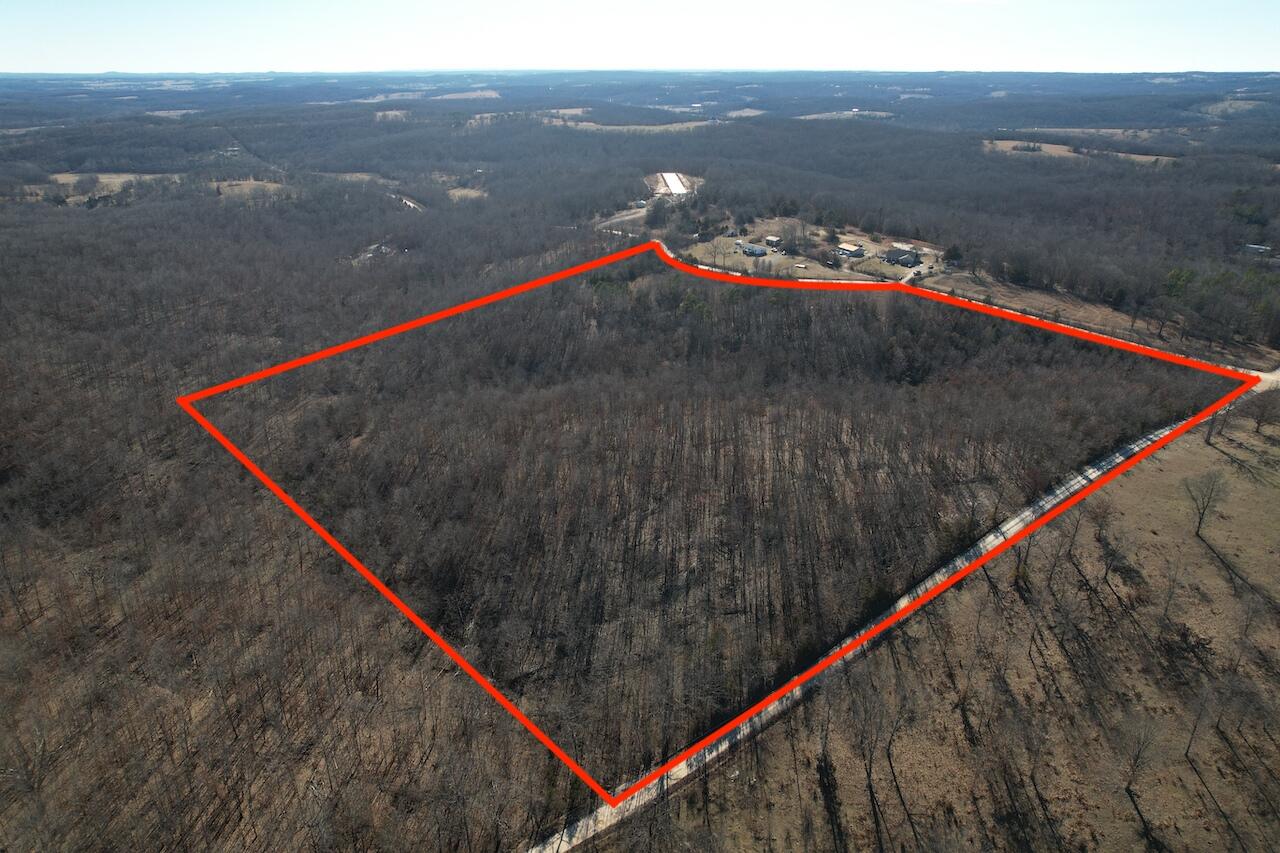 Photo 4 - Land for sale – 000  King Road  Mountain Grove, MO