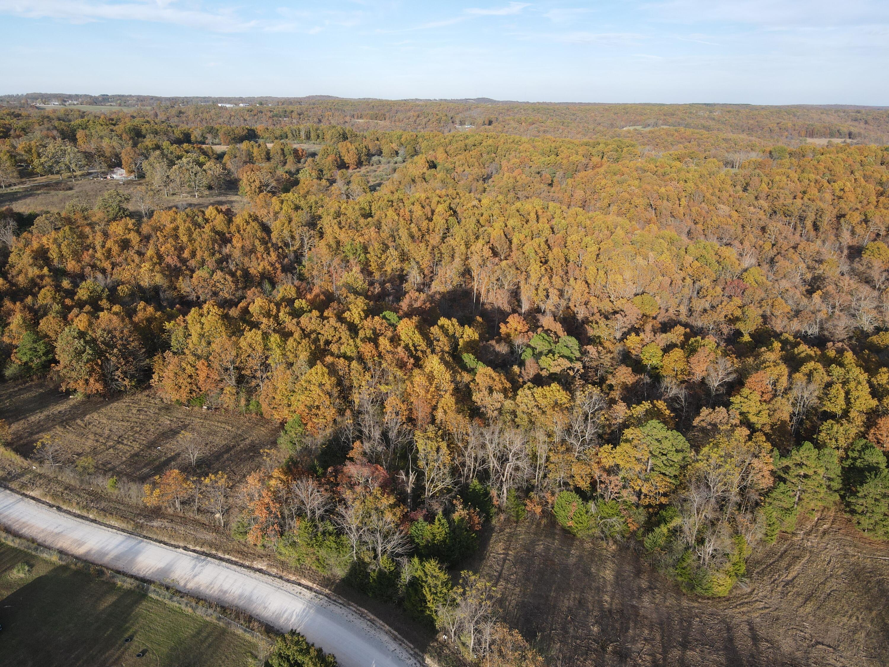 Photo 10 - Land for sale – 000  King Road  Mountain Grove, MO