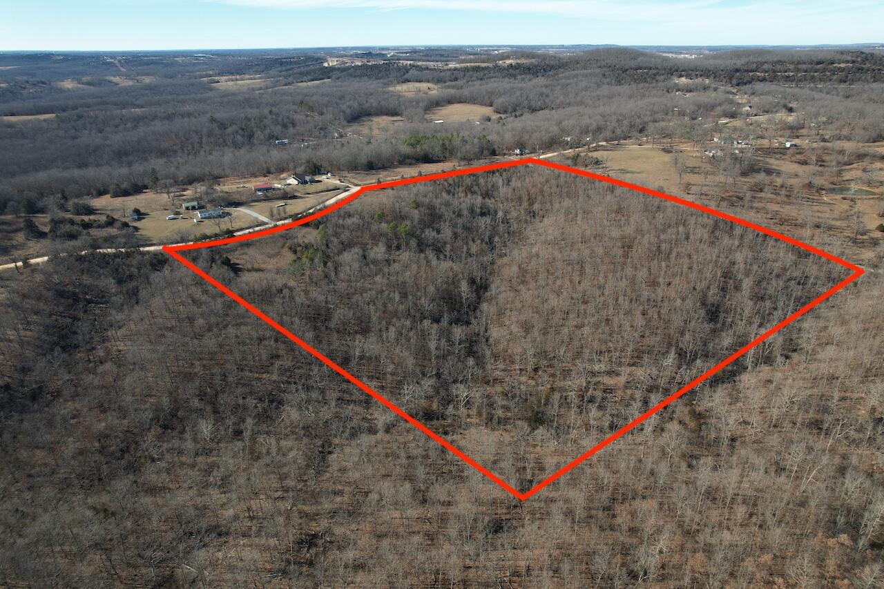 Photo 6 - Land for sale – 000  King Road  Mountain Grove, MO