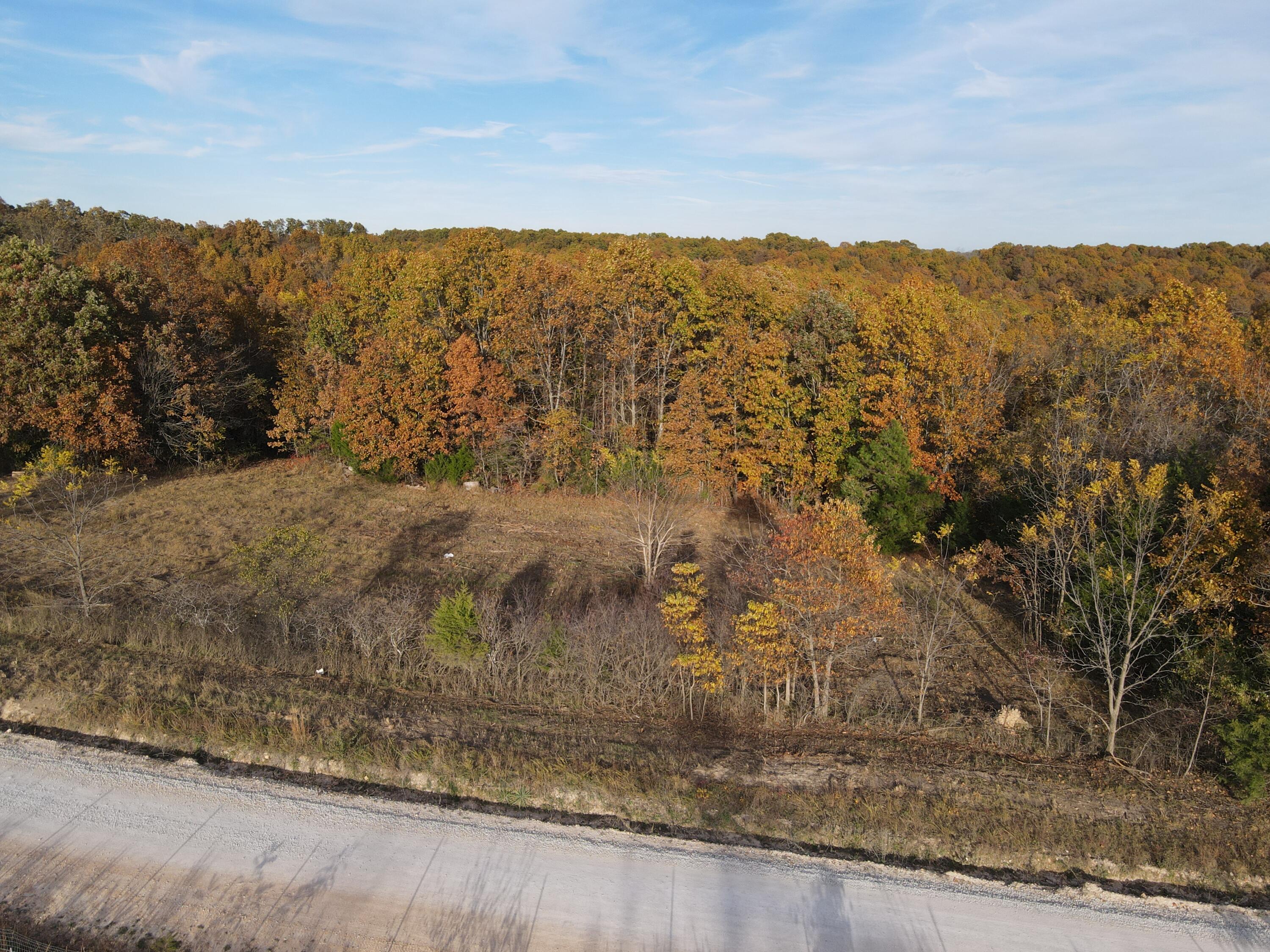 Photo 3 - Land for sale – 000  King Road  Mountain Grove, MO