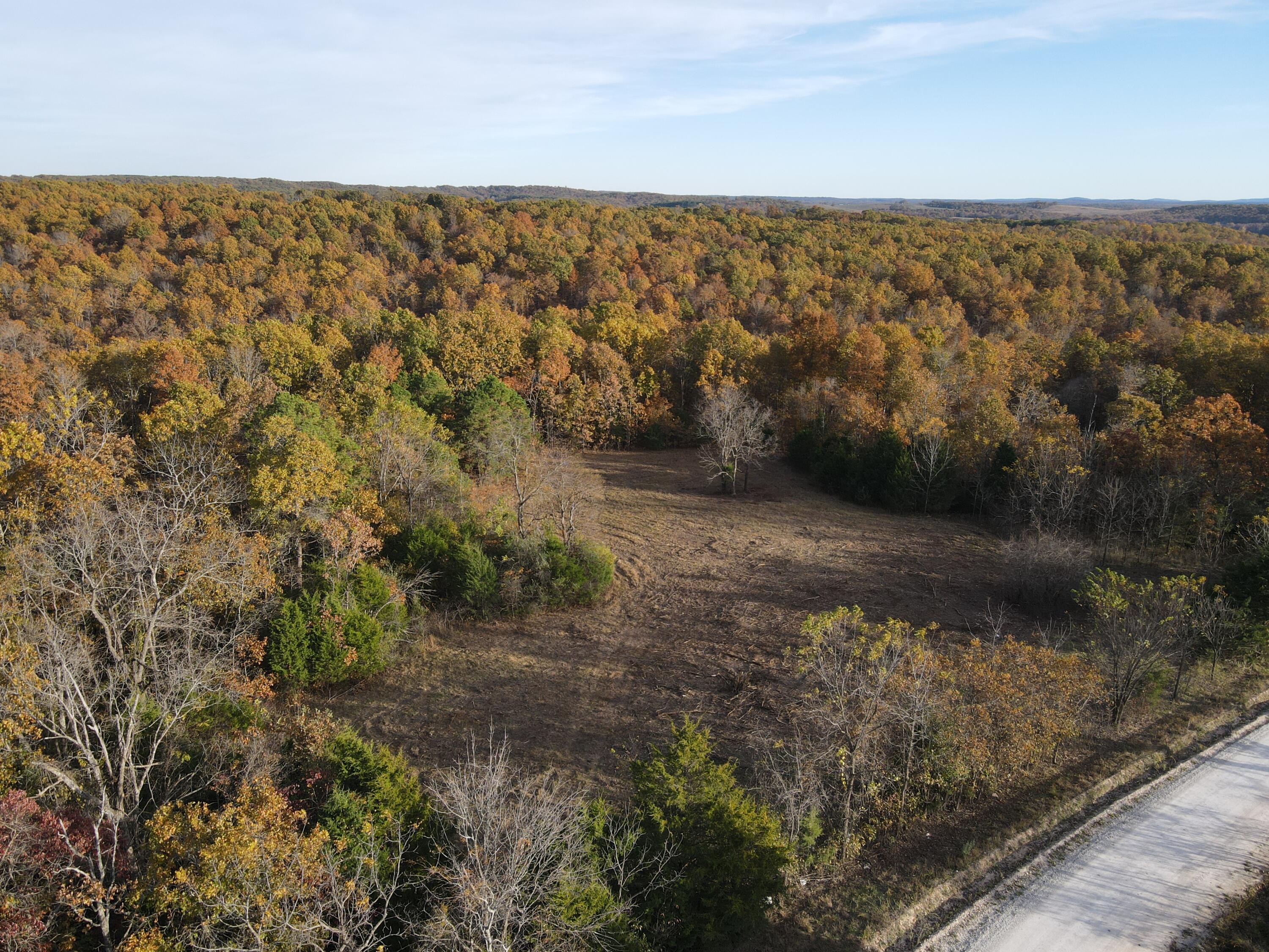 Photo 9 - Land for sale – 000  King Road  Mountain Grove, MO