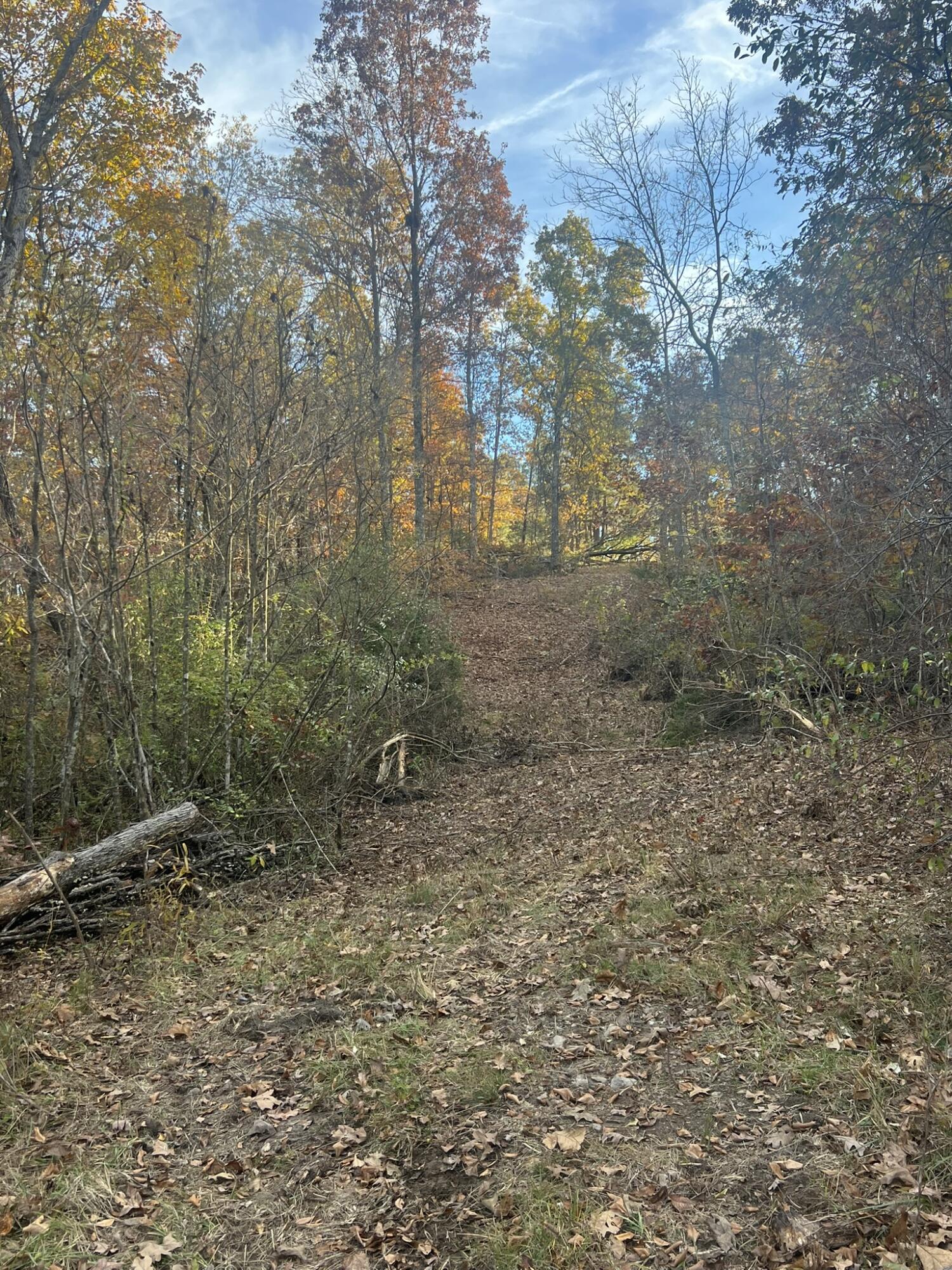 Photo 20 - Land for sale – 000  King Road  Mountain Grove, MO