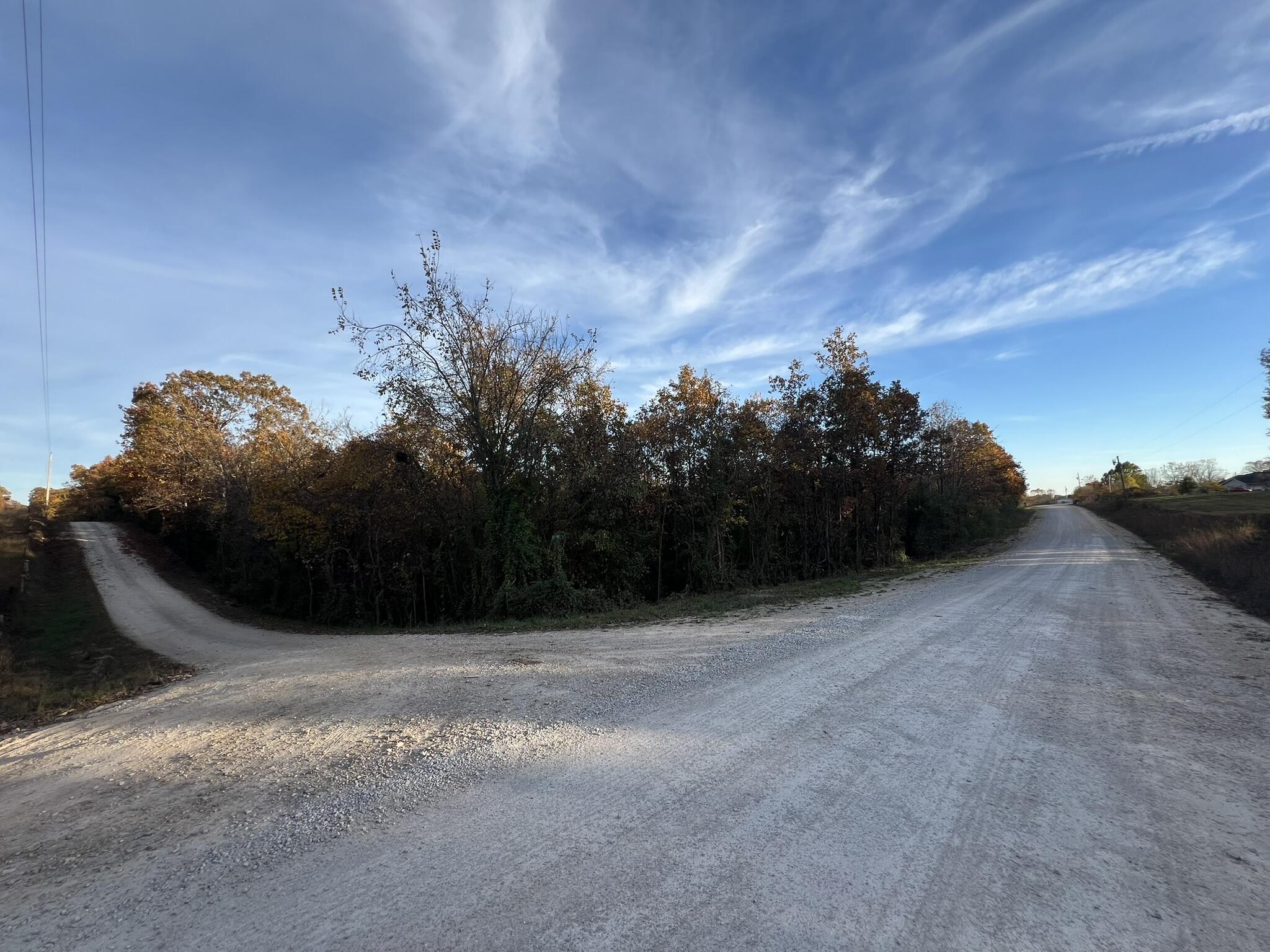 Photo 23 - Land for sale – 000  King Road  Mountain Grove, MO