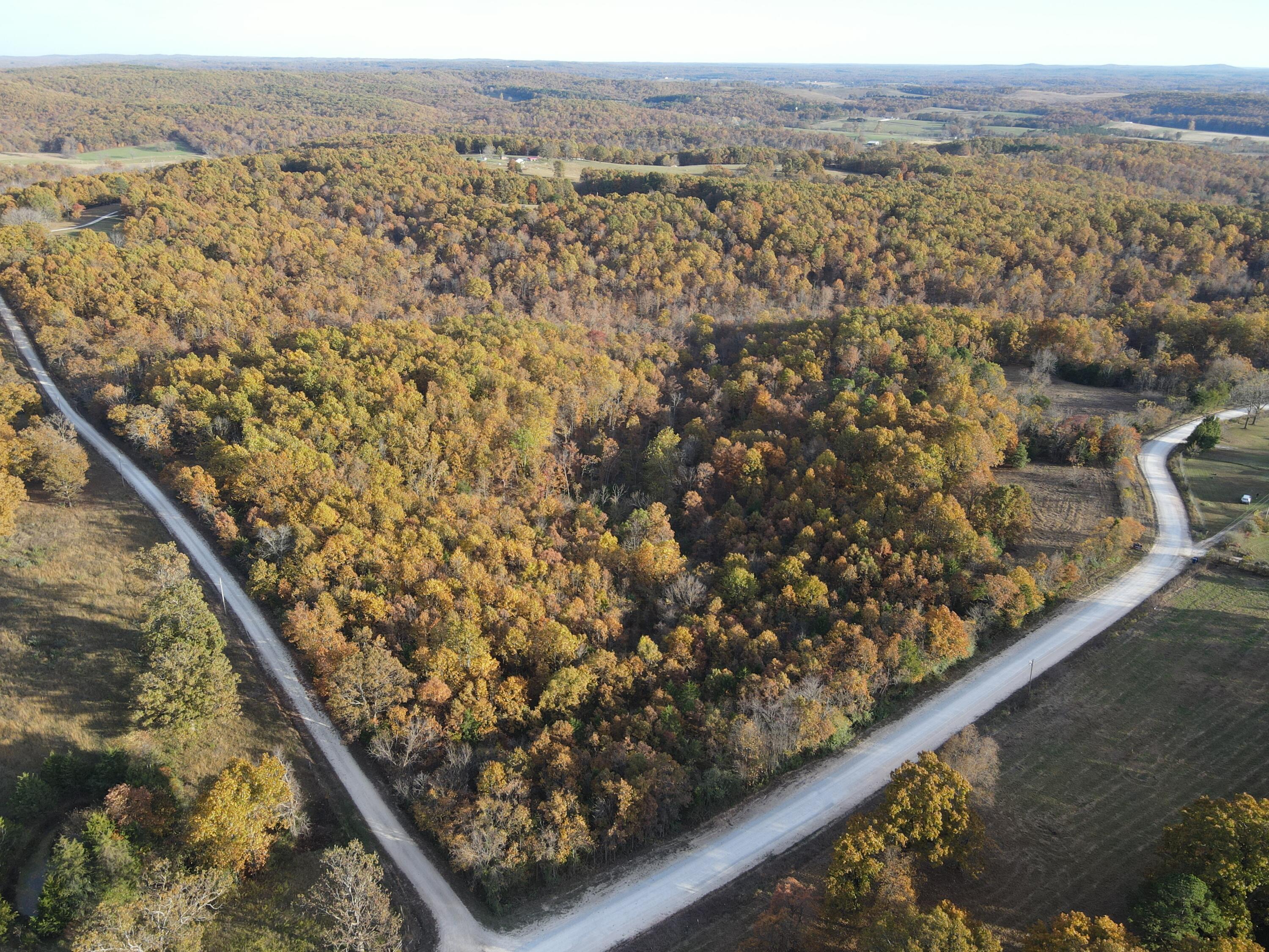 Land for sale – 000  King Road  Mountain Grove, MO