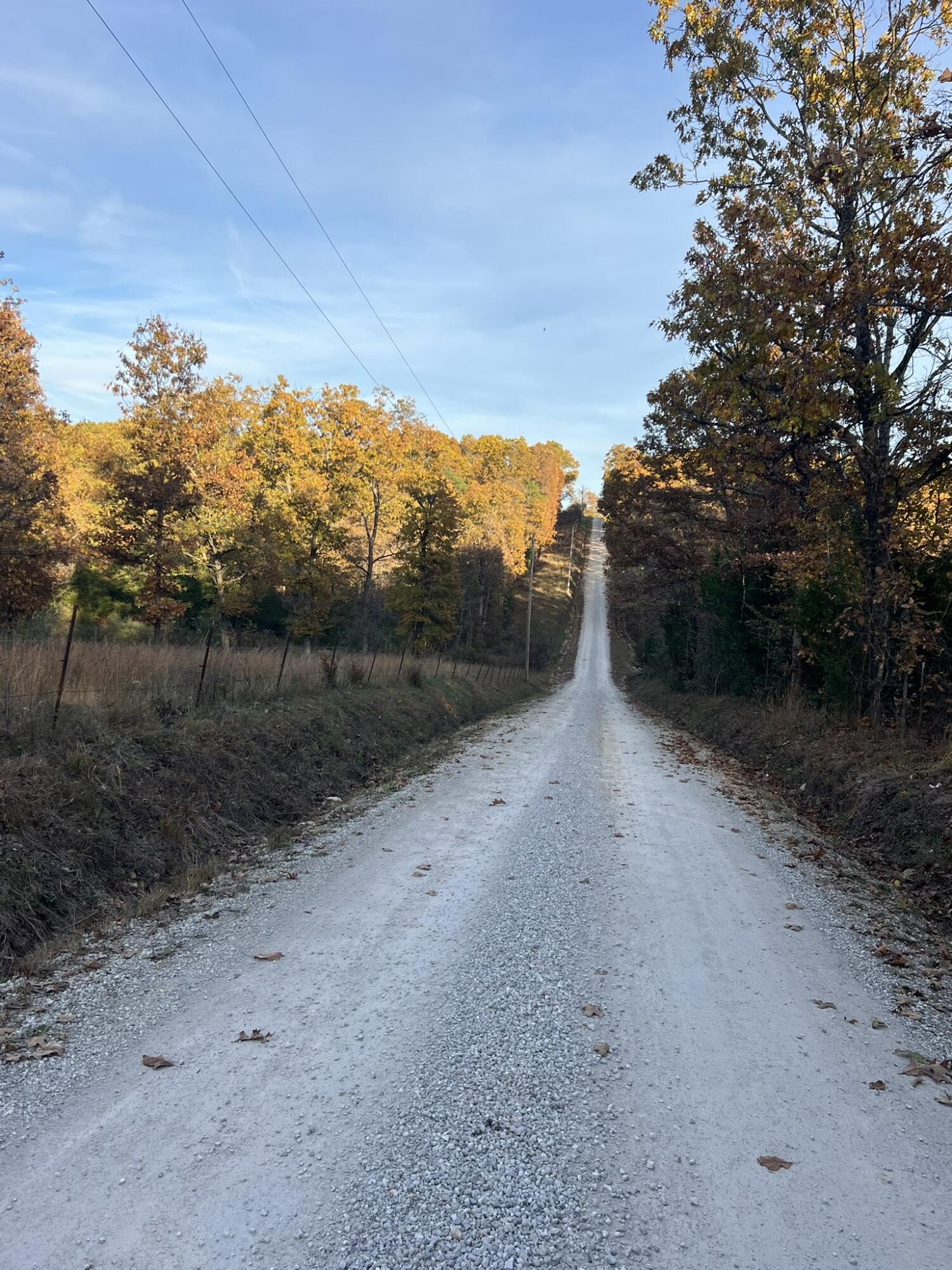 Photo 24 - Land for sale – 000  King Road  Mountain Grove, MO