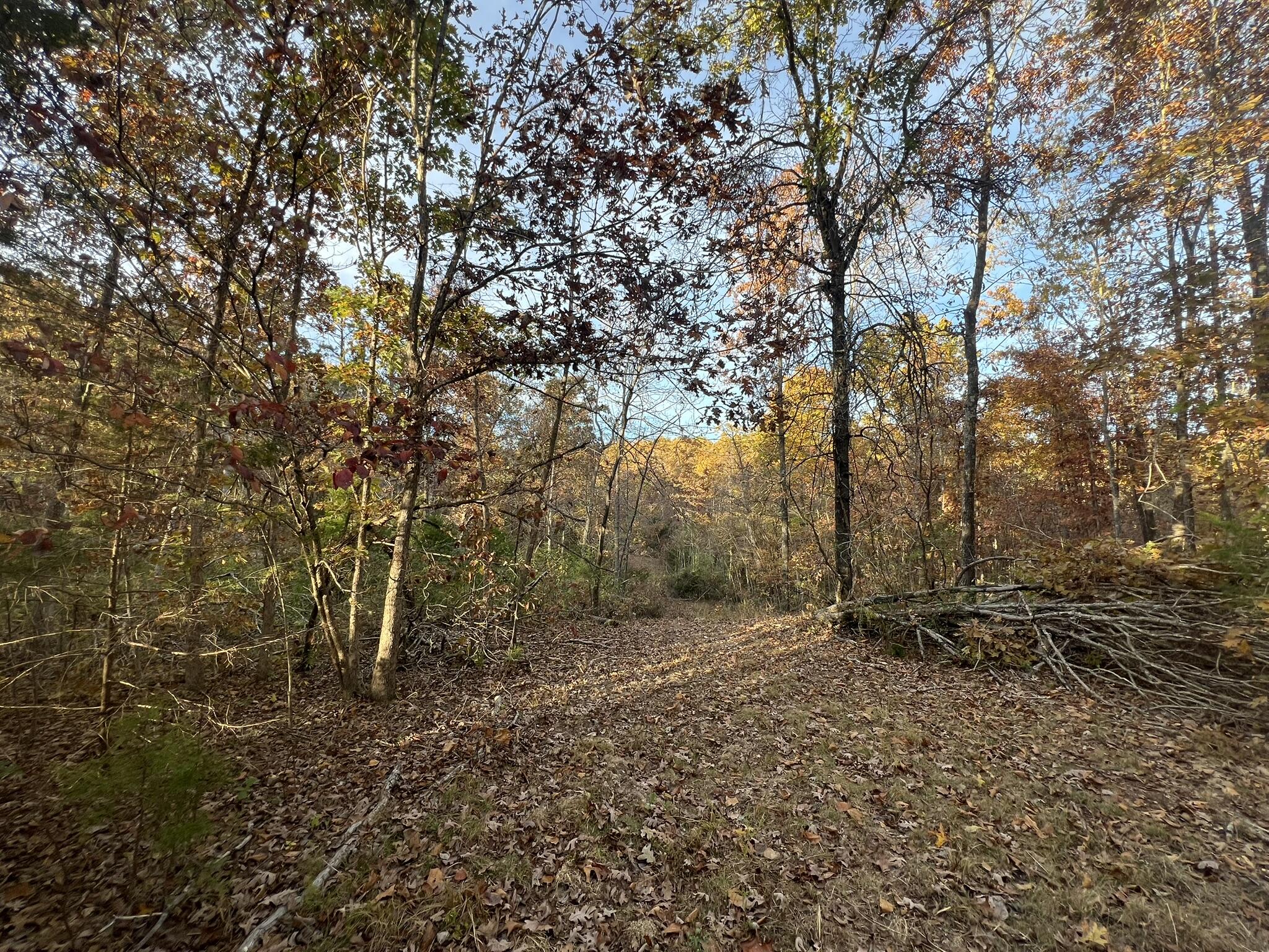 Photo 18 - Land for sale – 000  King Road  Mountain Grove, MO