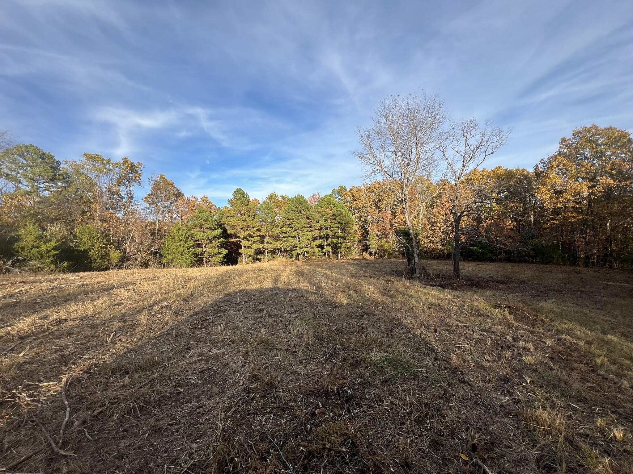 Photo 16 - Land for sale – 000  King Road  Mountain Grove, MO