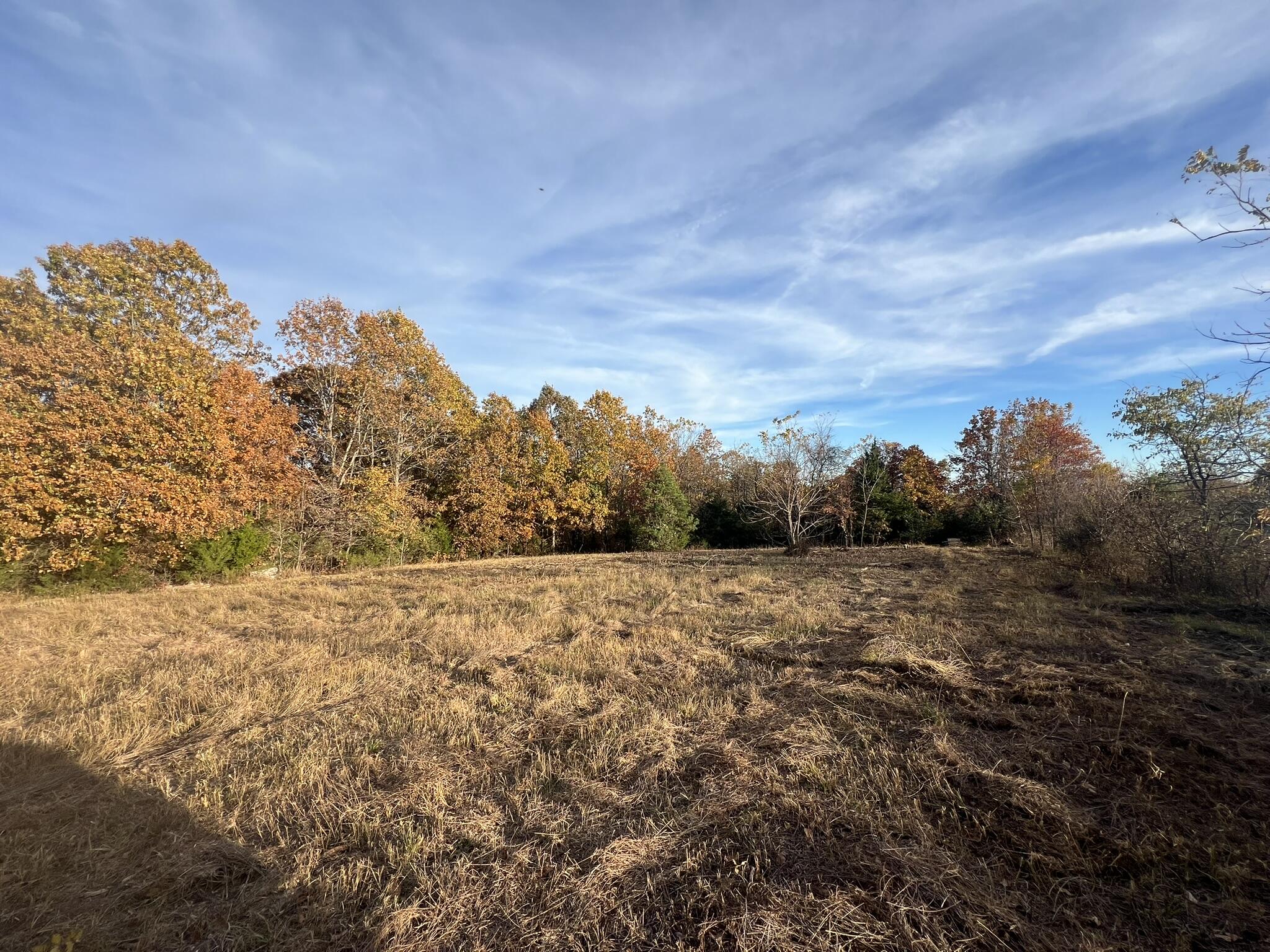 Photo 13 - Land for sale – 000  King Road  Mountain Grove, MO
