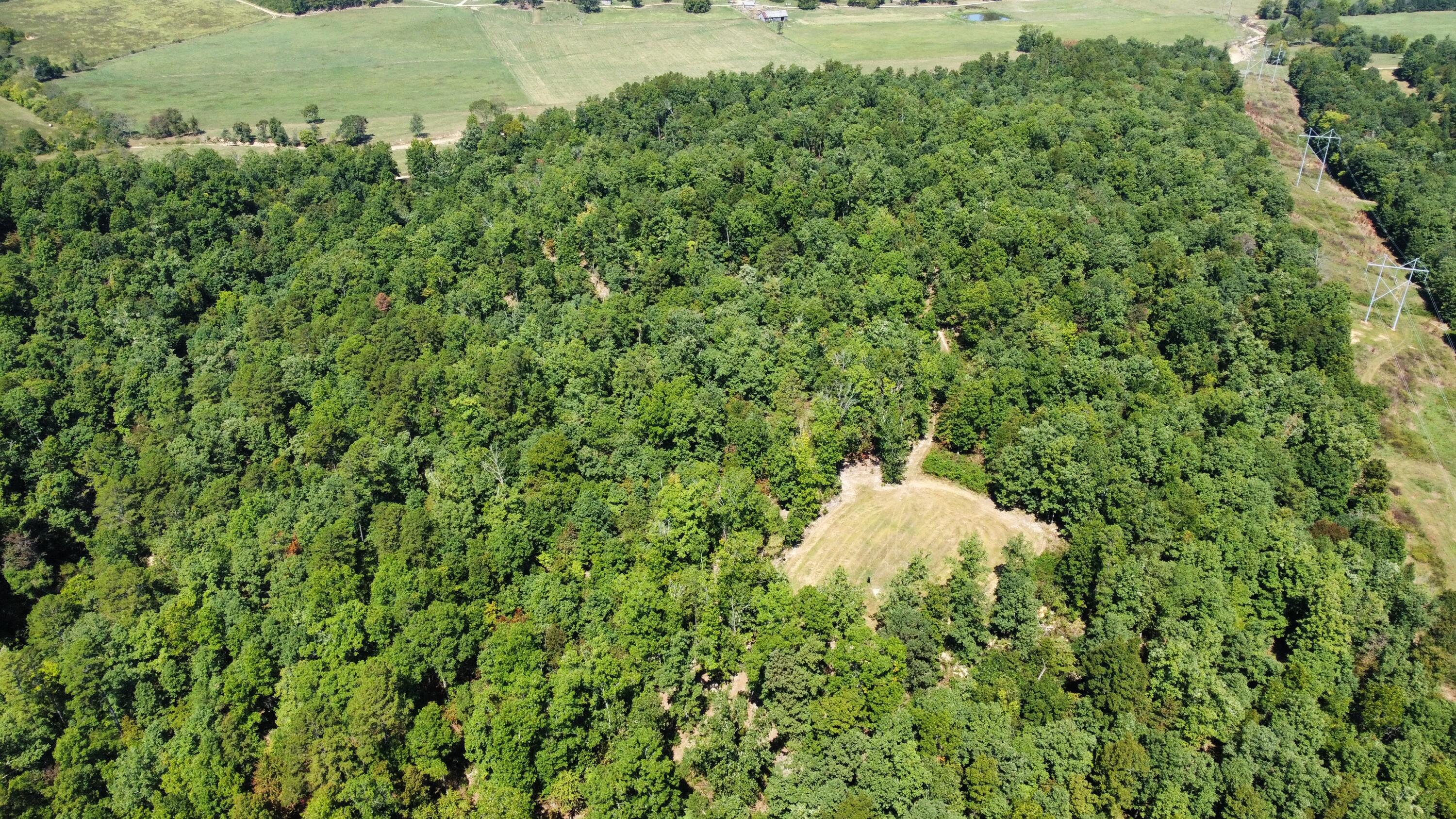 Photo 6 - Land for sale – 000  County Road 550   Ellington, MO