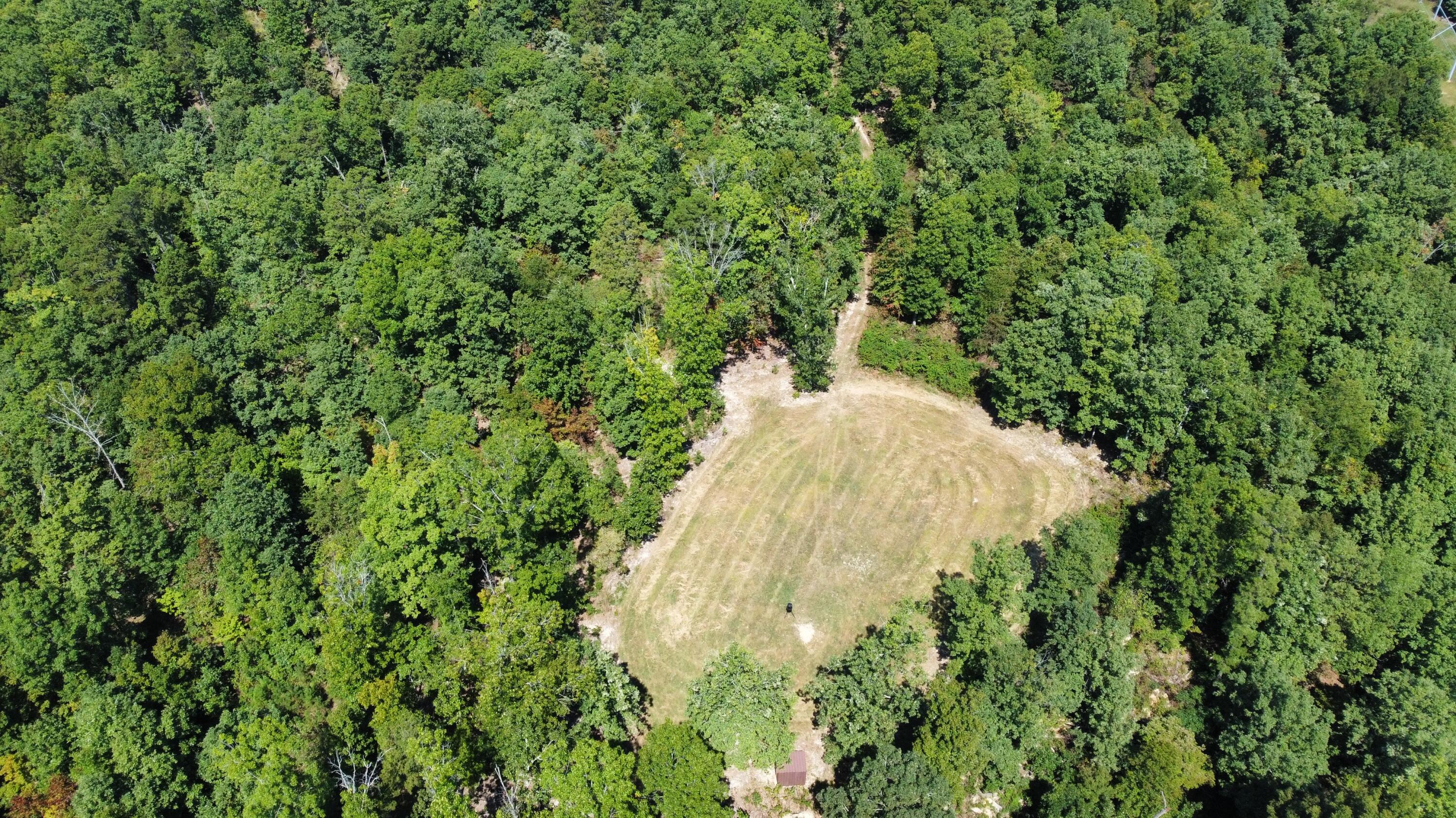 Photo 4 - Land for sale – 000  County Road 550   Ellington, MO